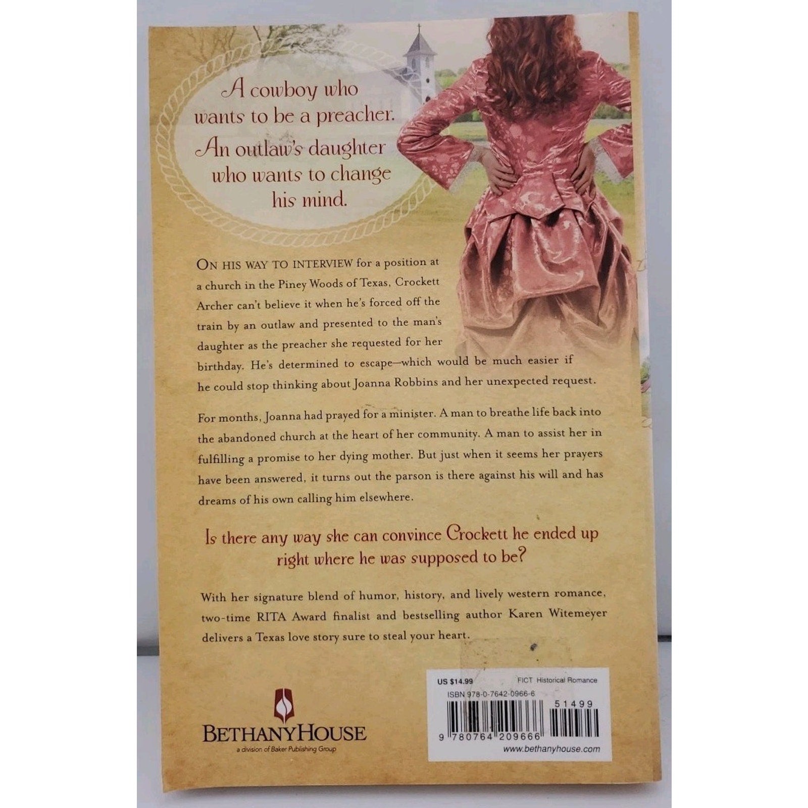 Stealing the Preacher by Karen Witemeyer (2013, Trade Paperback)