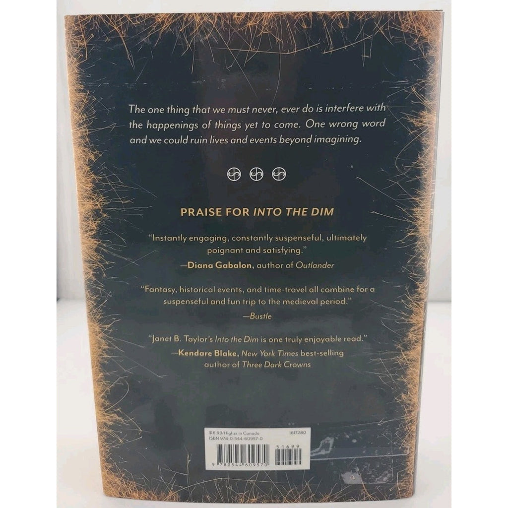 Sparks of Light by Janet B. Taylor (2017, Hardcover)