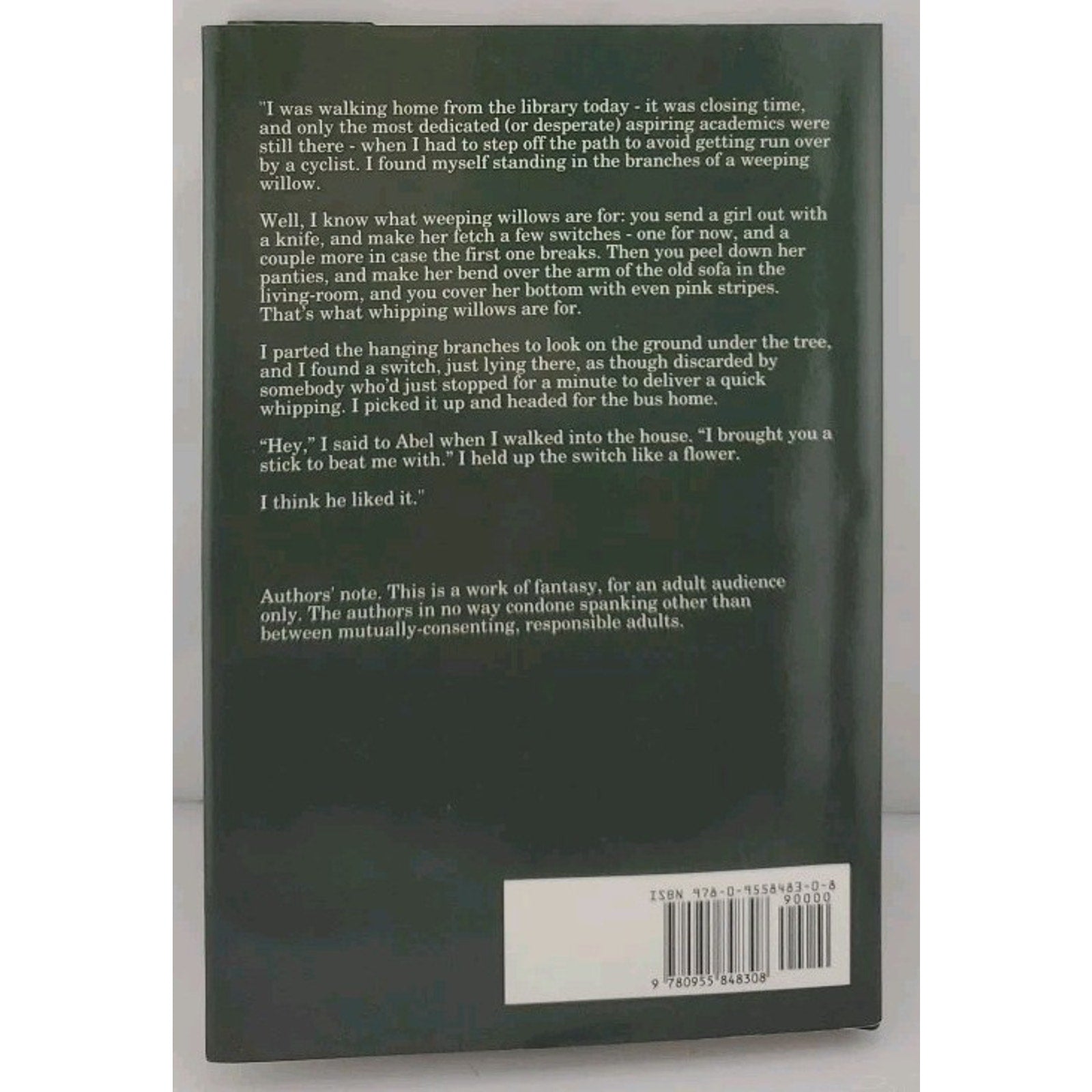 Spanking Writers by Not Available (2008, Hardcover)
