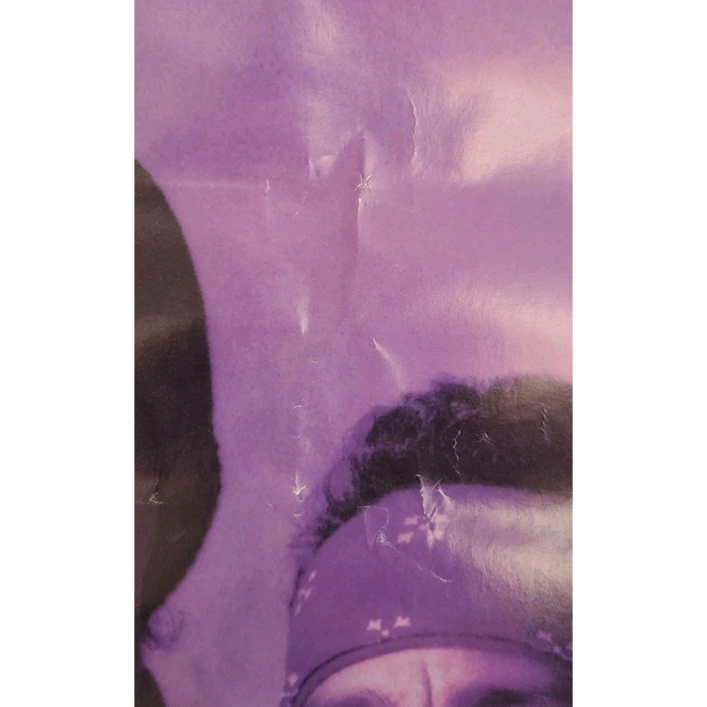 Hitz Movie Poster Elliott Gould Karen Black Cuba Gooding Jr. 27x40