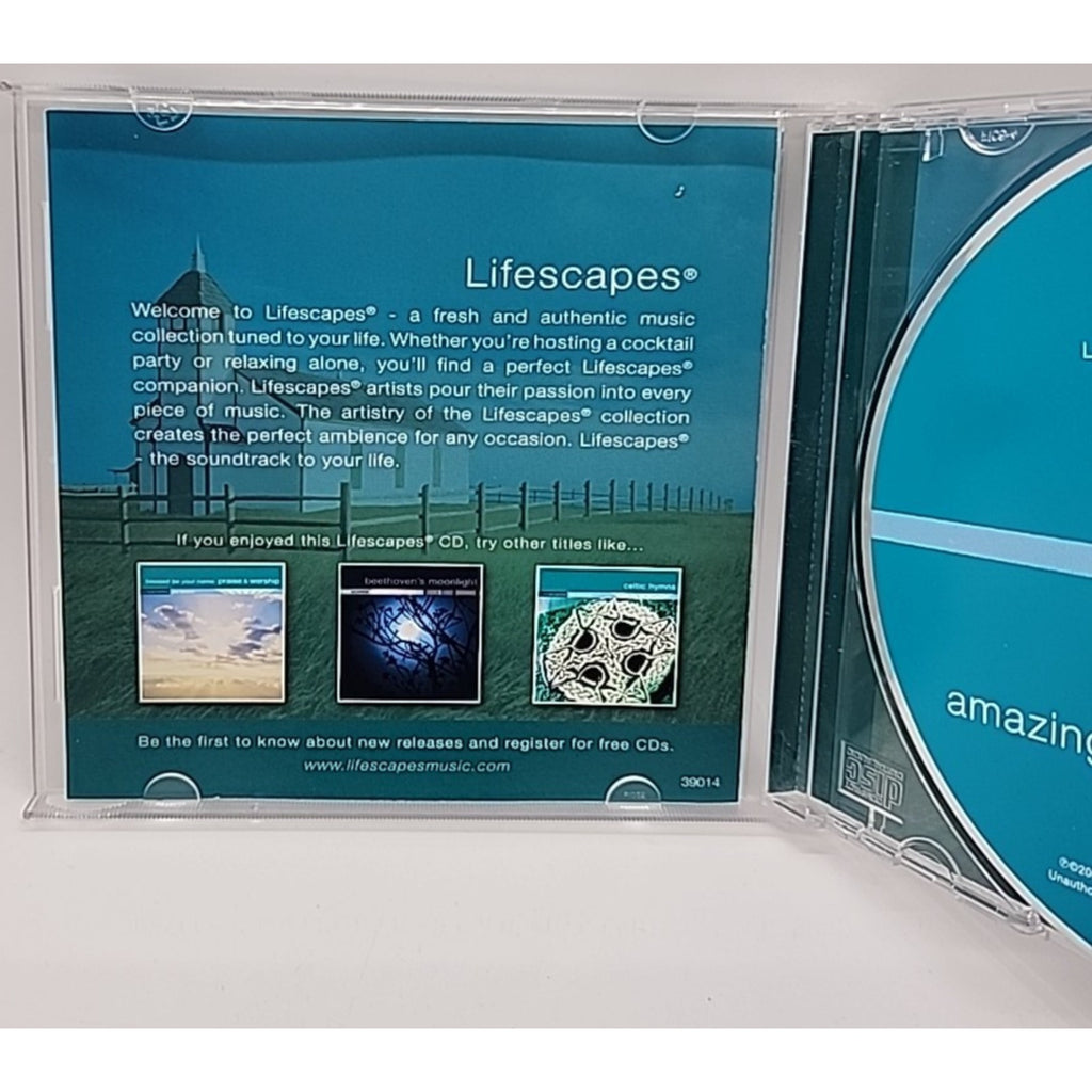 Amazing Grace: Classic Hymns by Rebecca Arons (CD, 2007, Lifescapes Music)