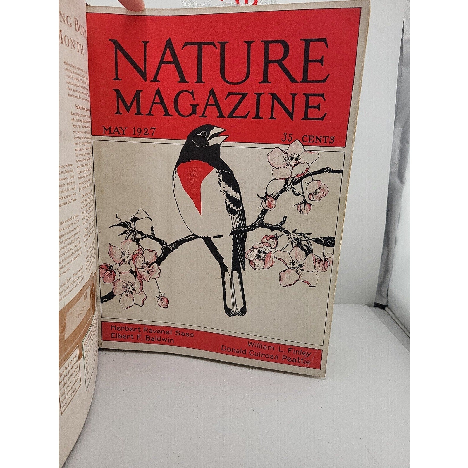 1927 Nature Magazine-12 Months In Embossed Green Leather Album Texas Issue.