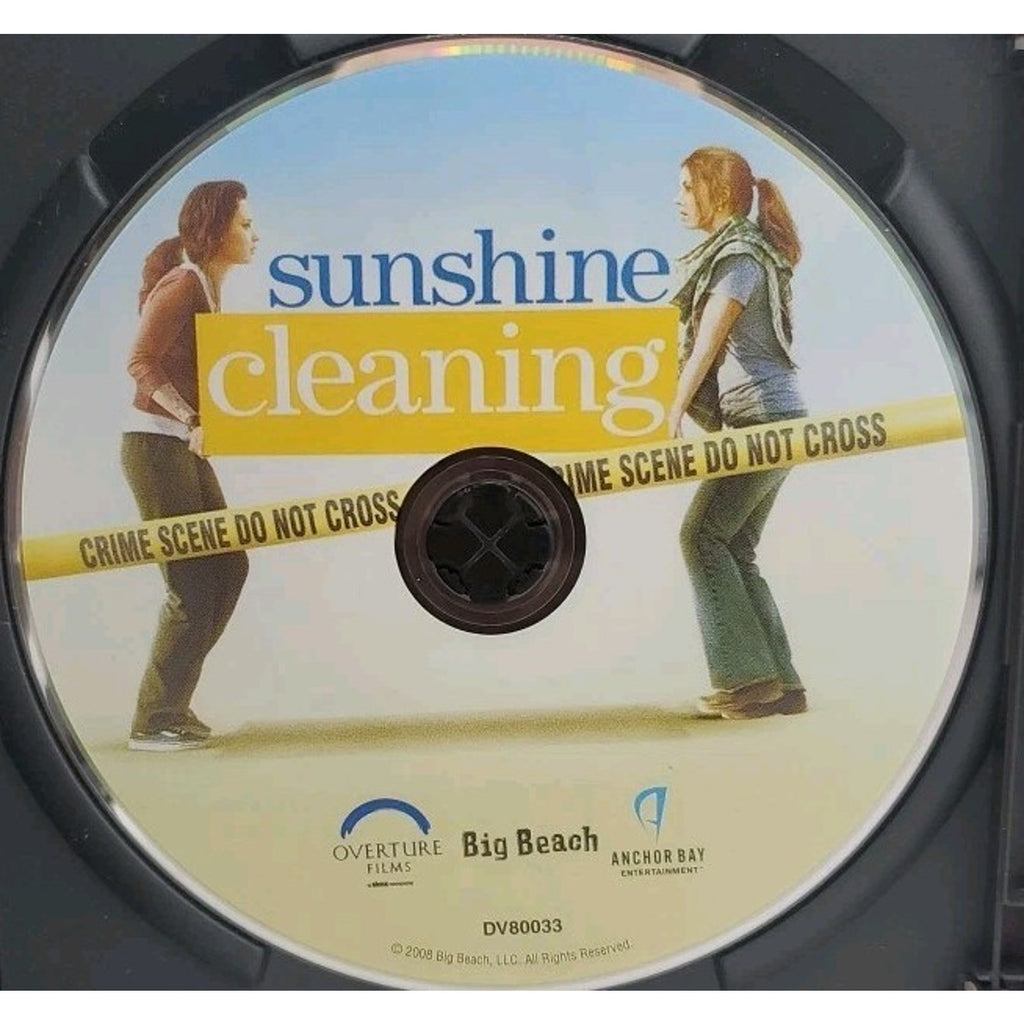 Sunshine Cleaning (DVD)