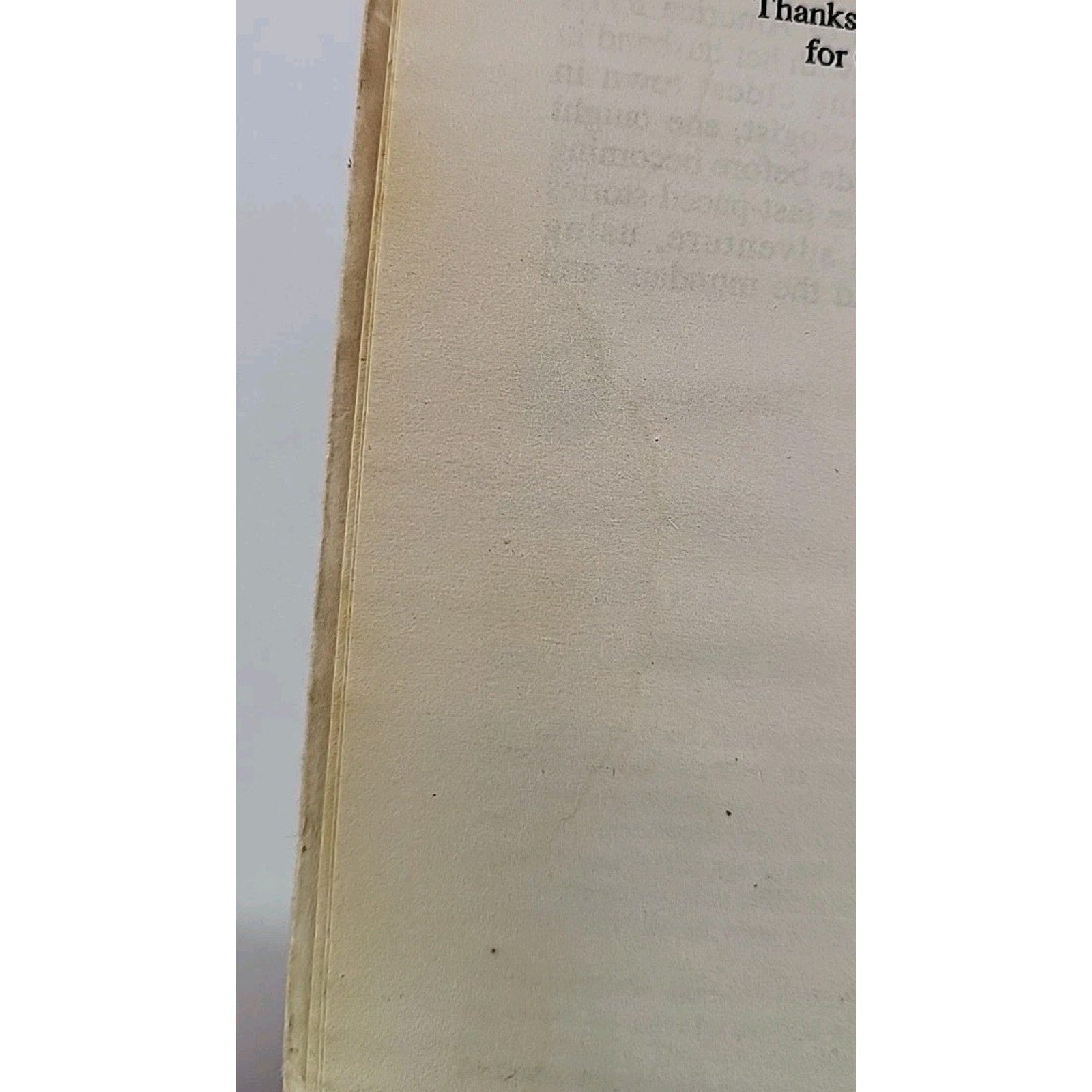 In Roared Flint by Jan Hudson (1996, Mass Market)