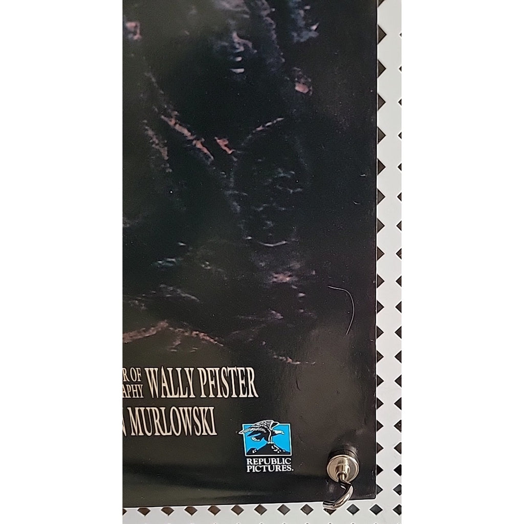 Original Poster: Amityville A New Generation: Video Store, Horror 27x40