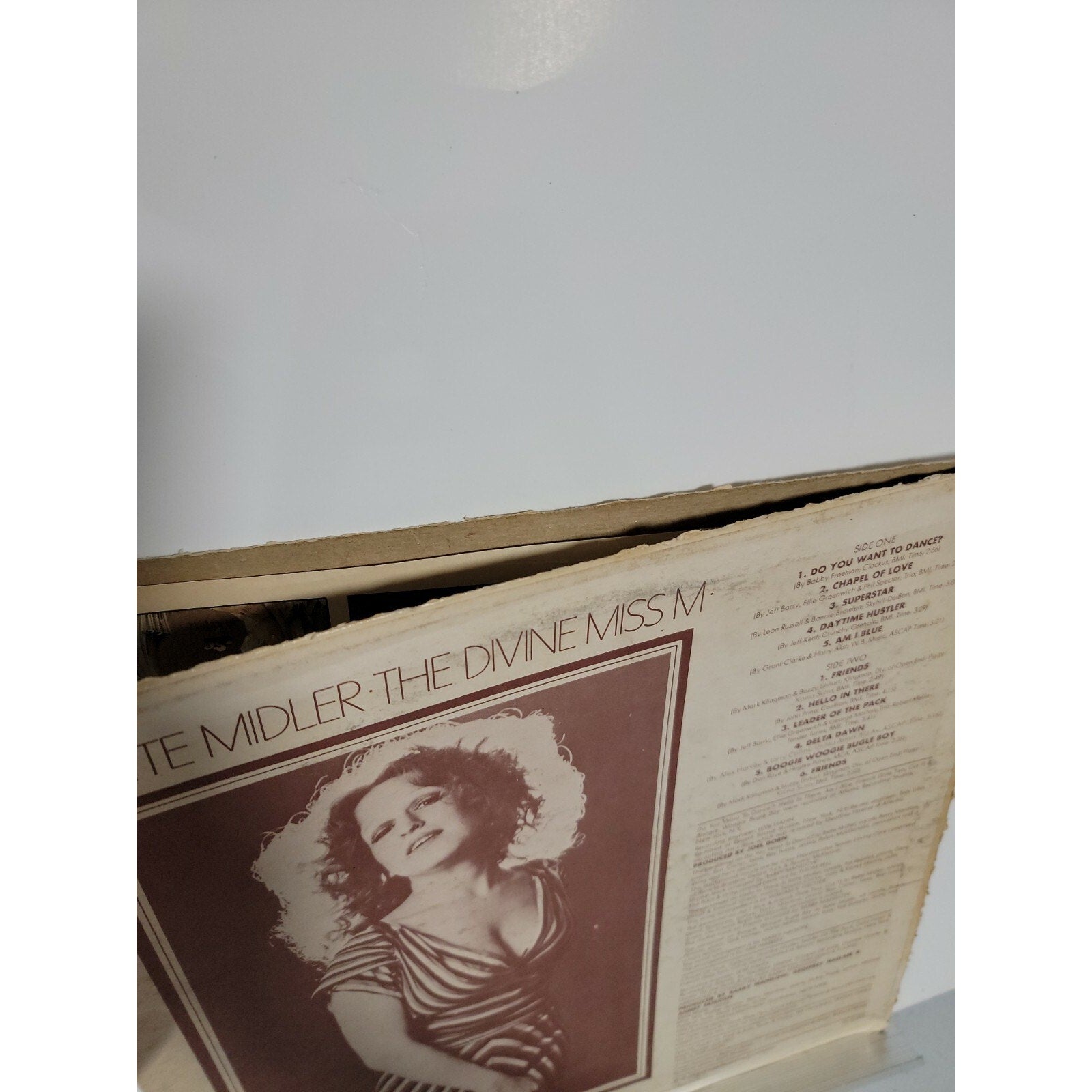 Bette Midler – The Divine Miss M (Vinyl)