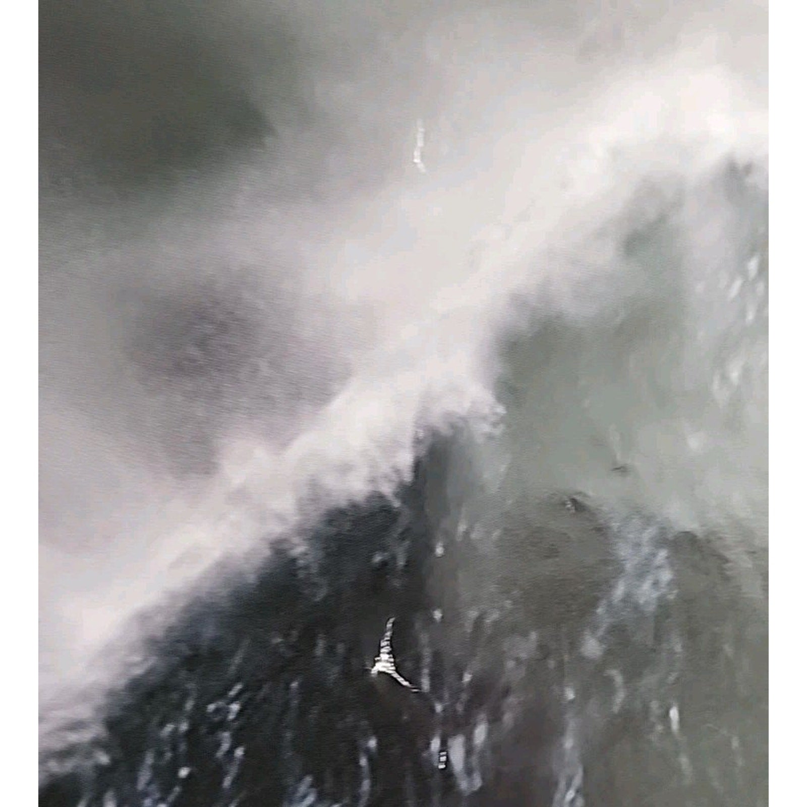 The Perfect Storm Original Double Sided Theatrical One-Sheet Poster 27x40