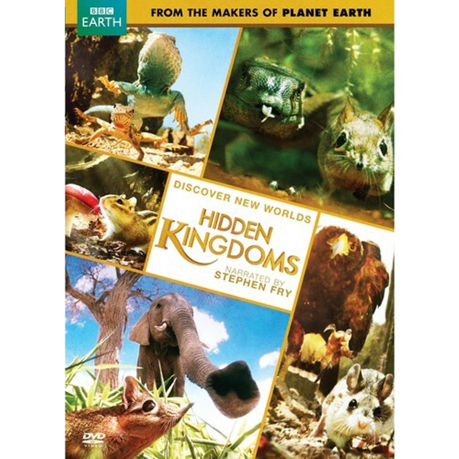 Hidden Kingdom (DVD, 2014)
