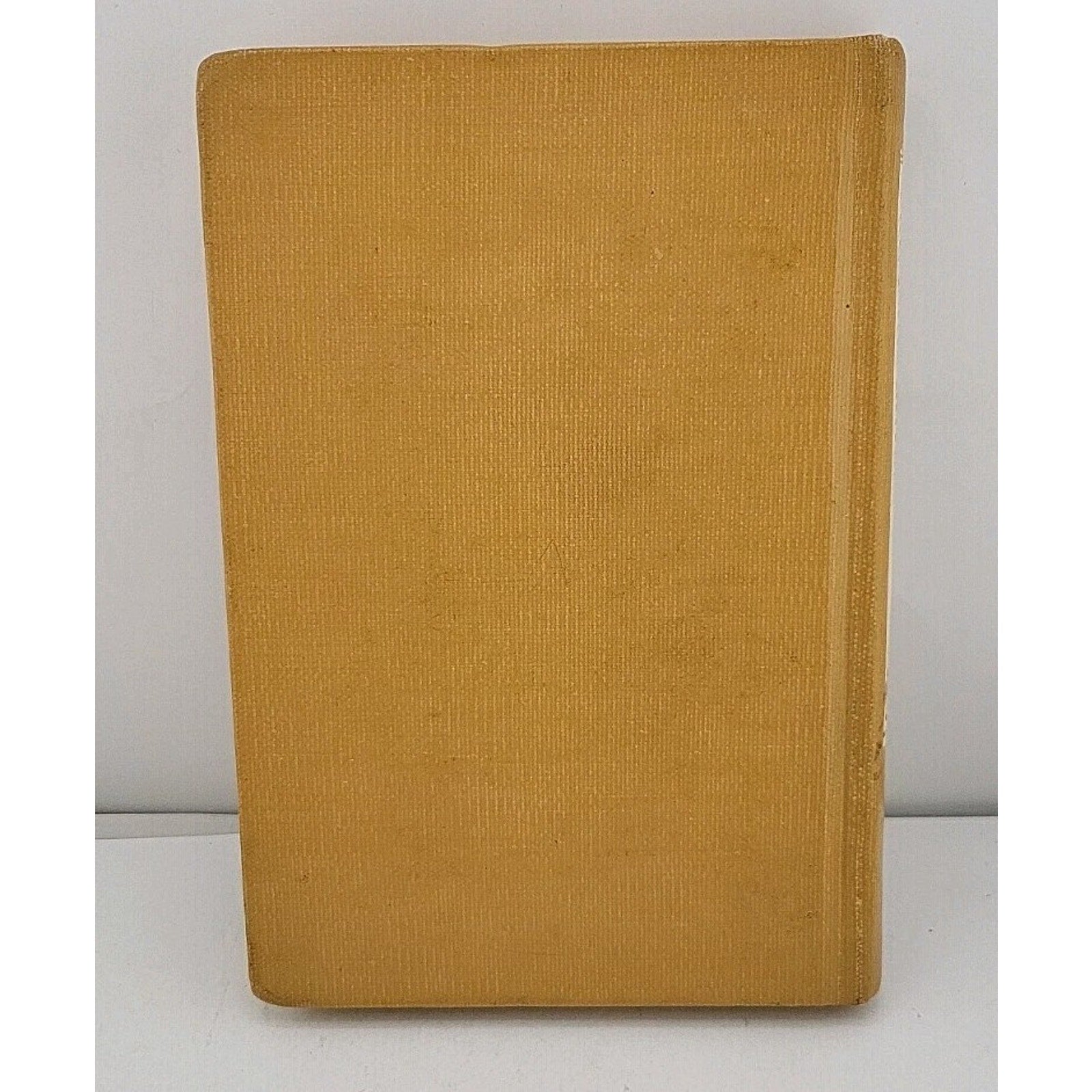 Tim's Mountain By Rutherford G. Montgomery