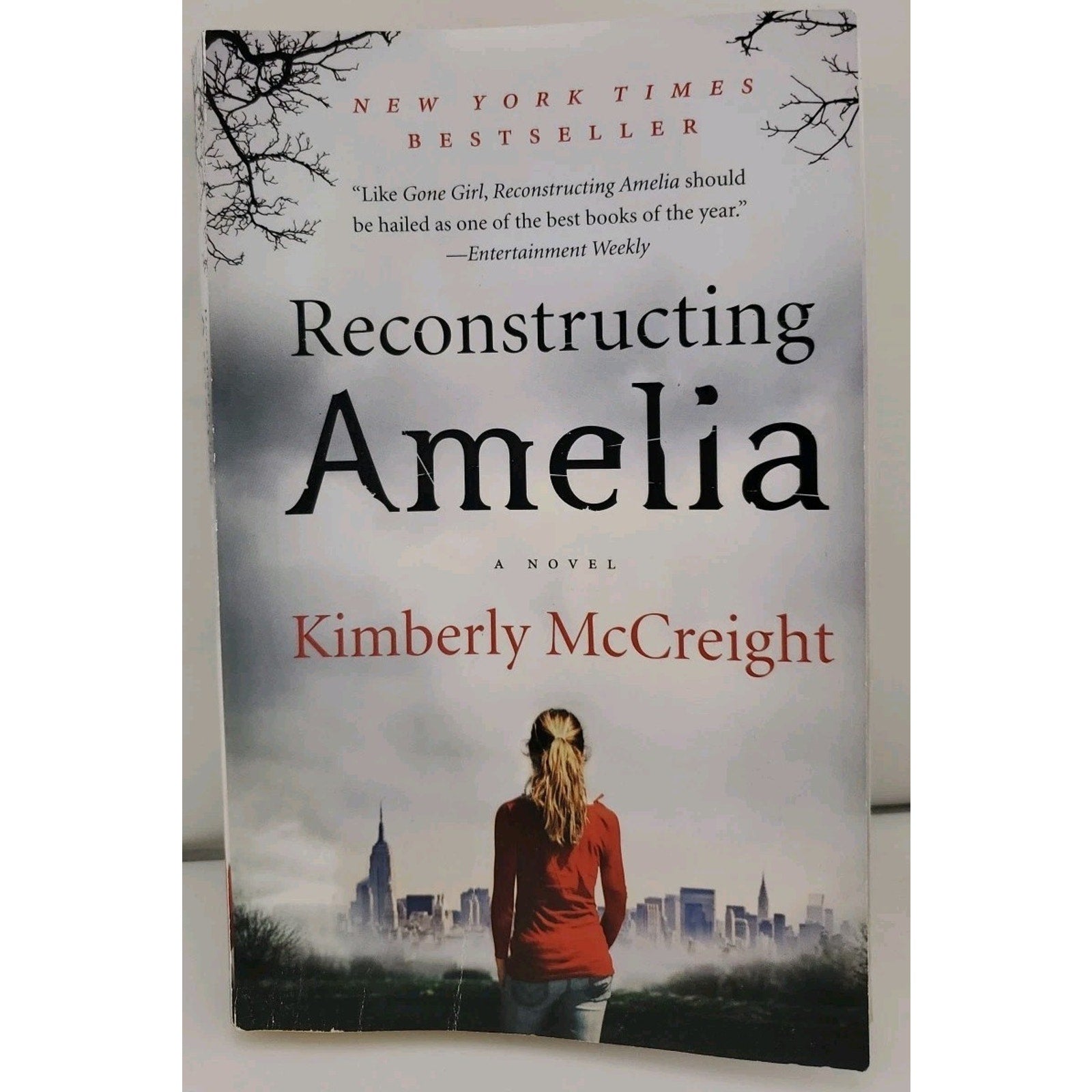 Reconstructing Amelia : A Novel by Kimberly McCreight (2013, Trade Paperback)