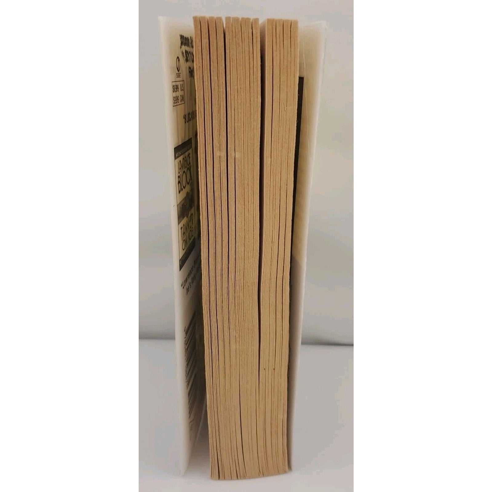 Burglar in the Rye by Lawrence Block (2000, Mass Market)