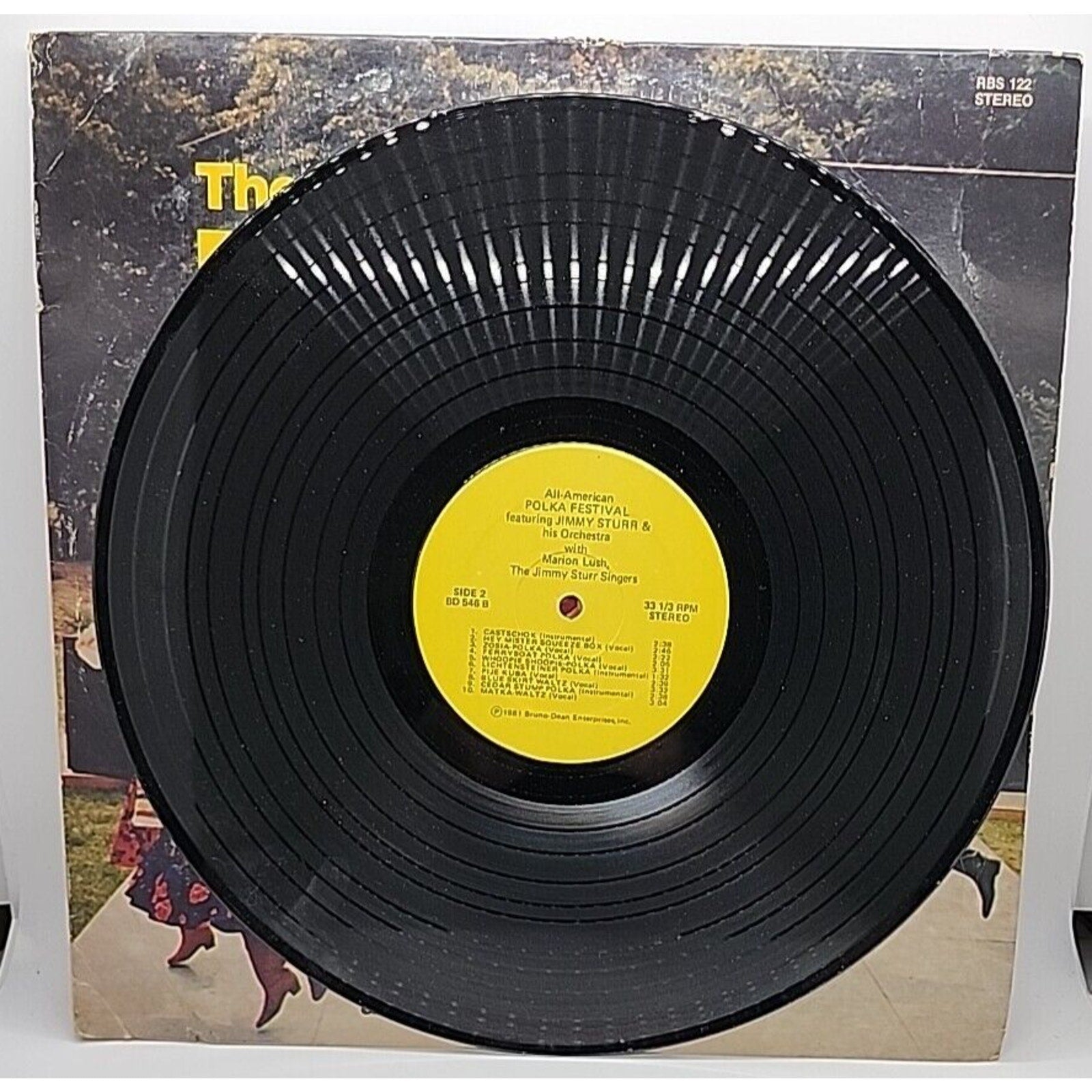 Jimmy Sturr and His Orchestra All American Polka Festival Stereo (Record)
