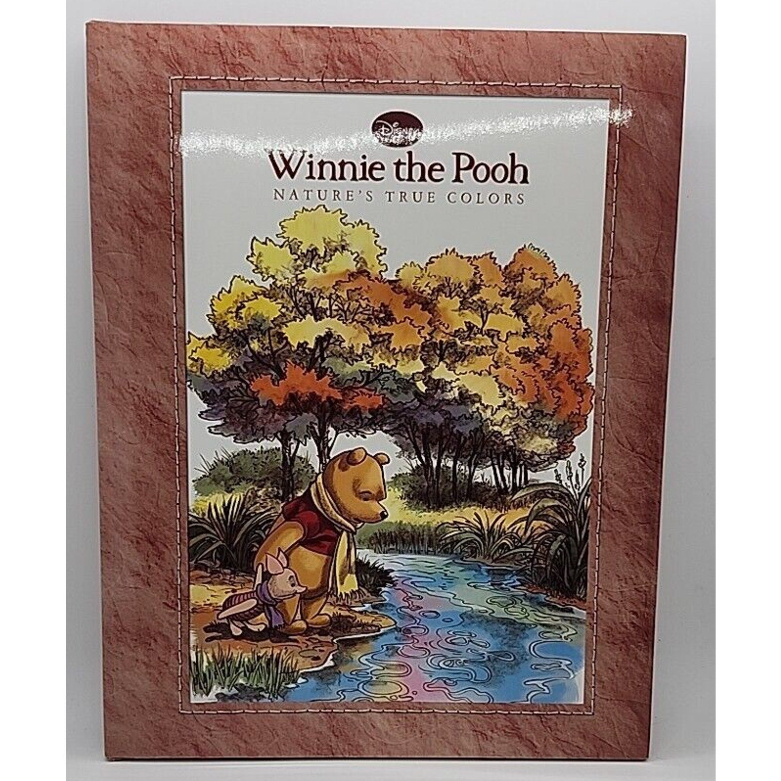 Winnie The Pooh Nature's True Colors by K. Emily Hutta Hardcover Book