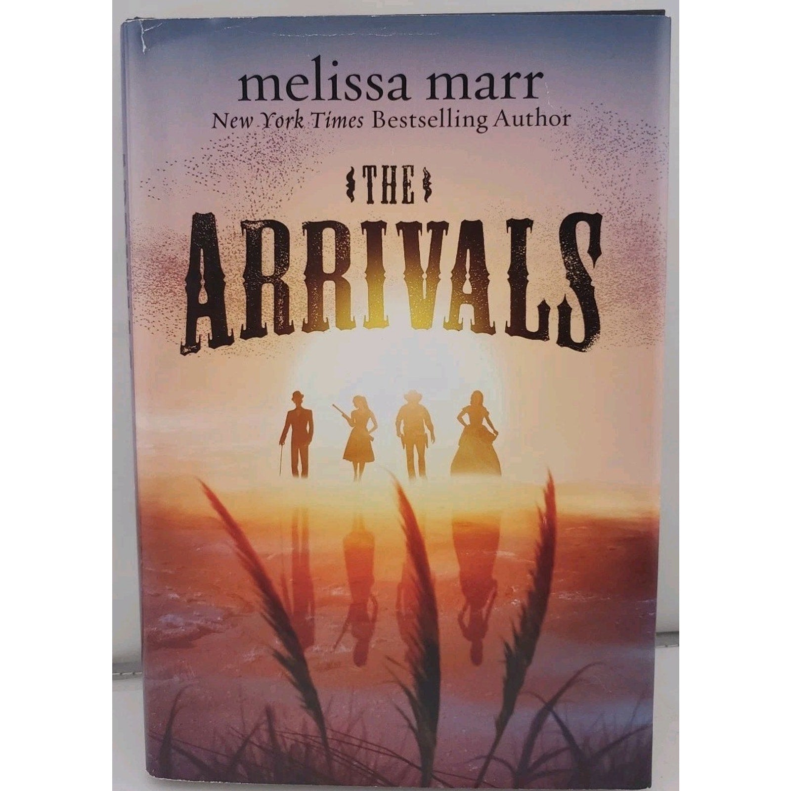 The Arrivals: A Novel by Melissa Marr (Hardcover)
