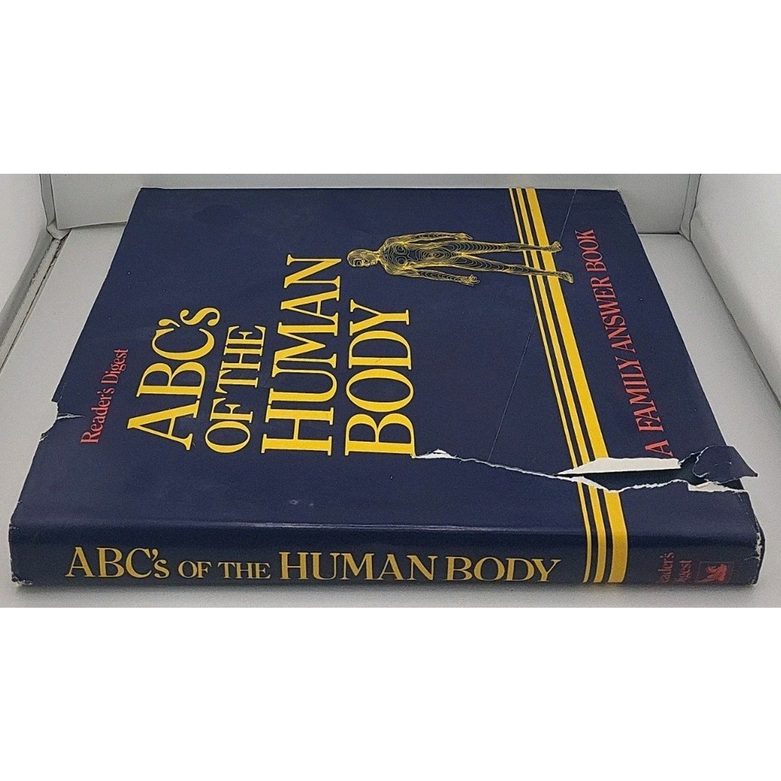 Reader's Digest ABC Of The Human Body