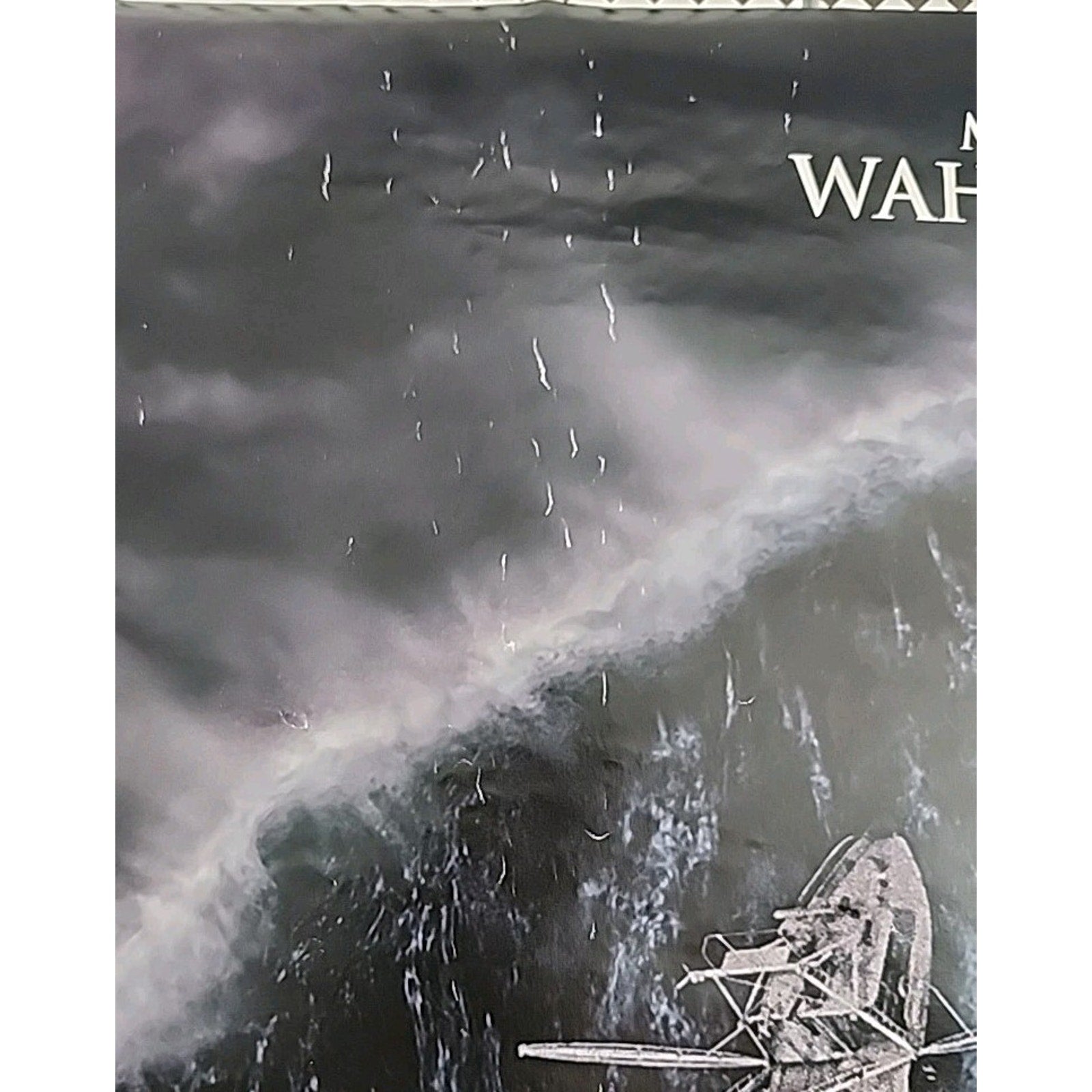 The Perfect Storm Original Double Sided Theatrical One-Sheet Poster 27x40