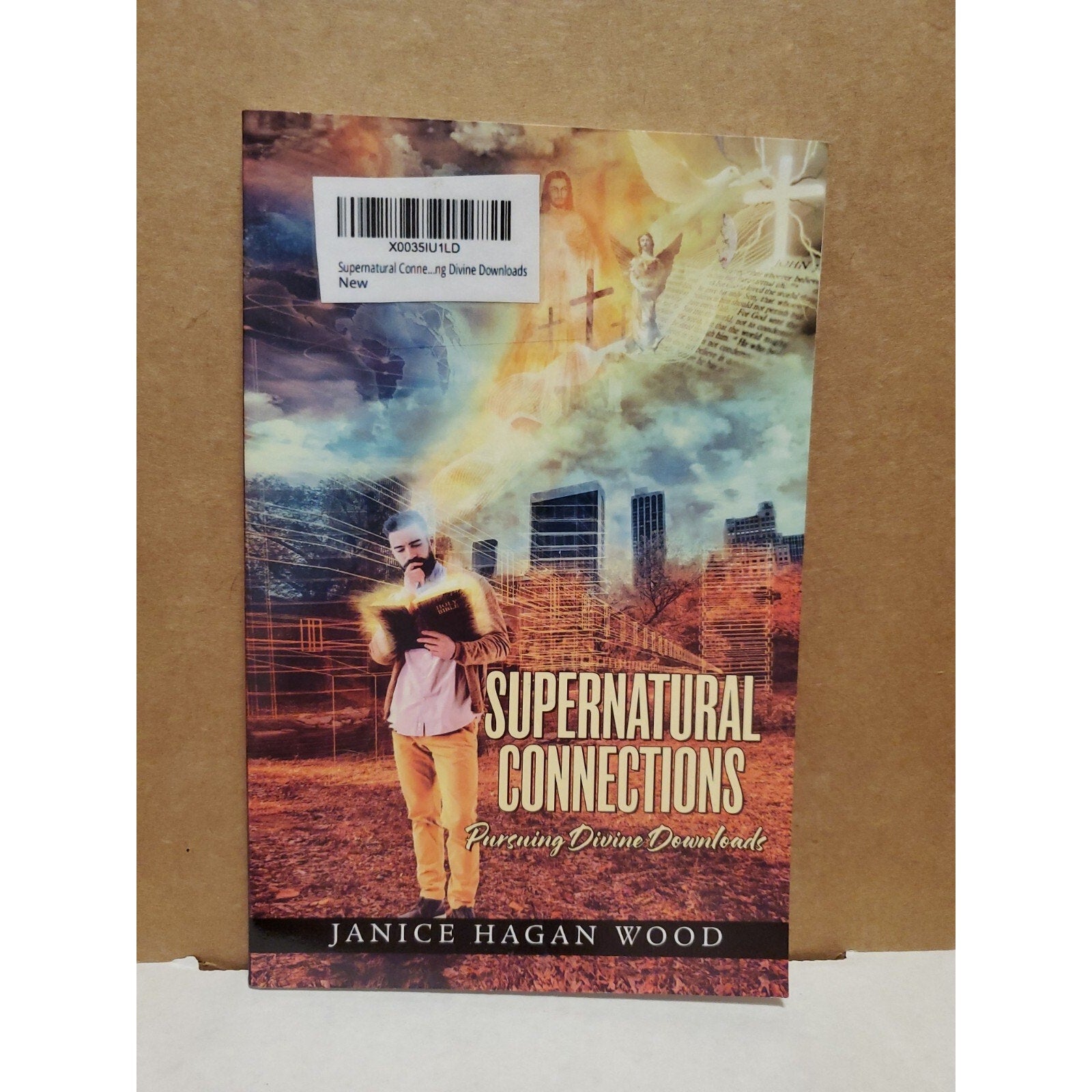 Supernatural Connections: Pursuing Divine Downloads by Janice Hagan Wood