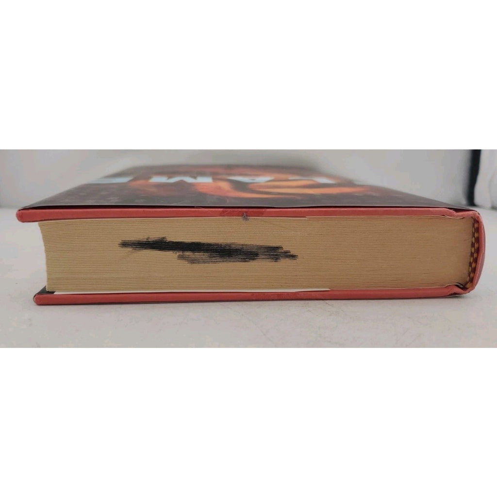 Flame : Book Three of the Sky Chasers by Amy Kathleen Ryan (2014, Hardcover)