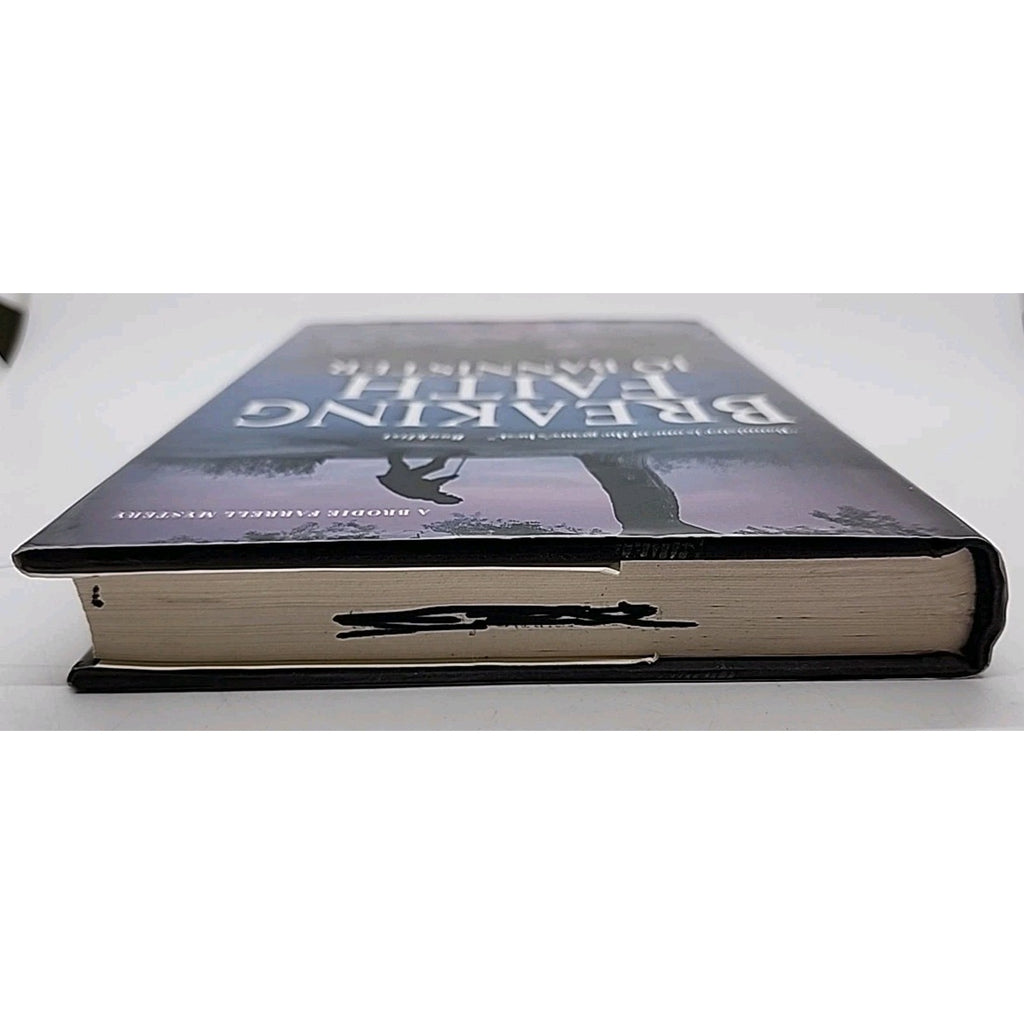 Breaking Faith by Jo Bannister (2005, Hardcover)