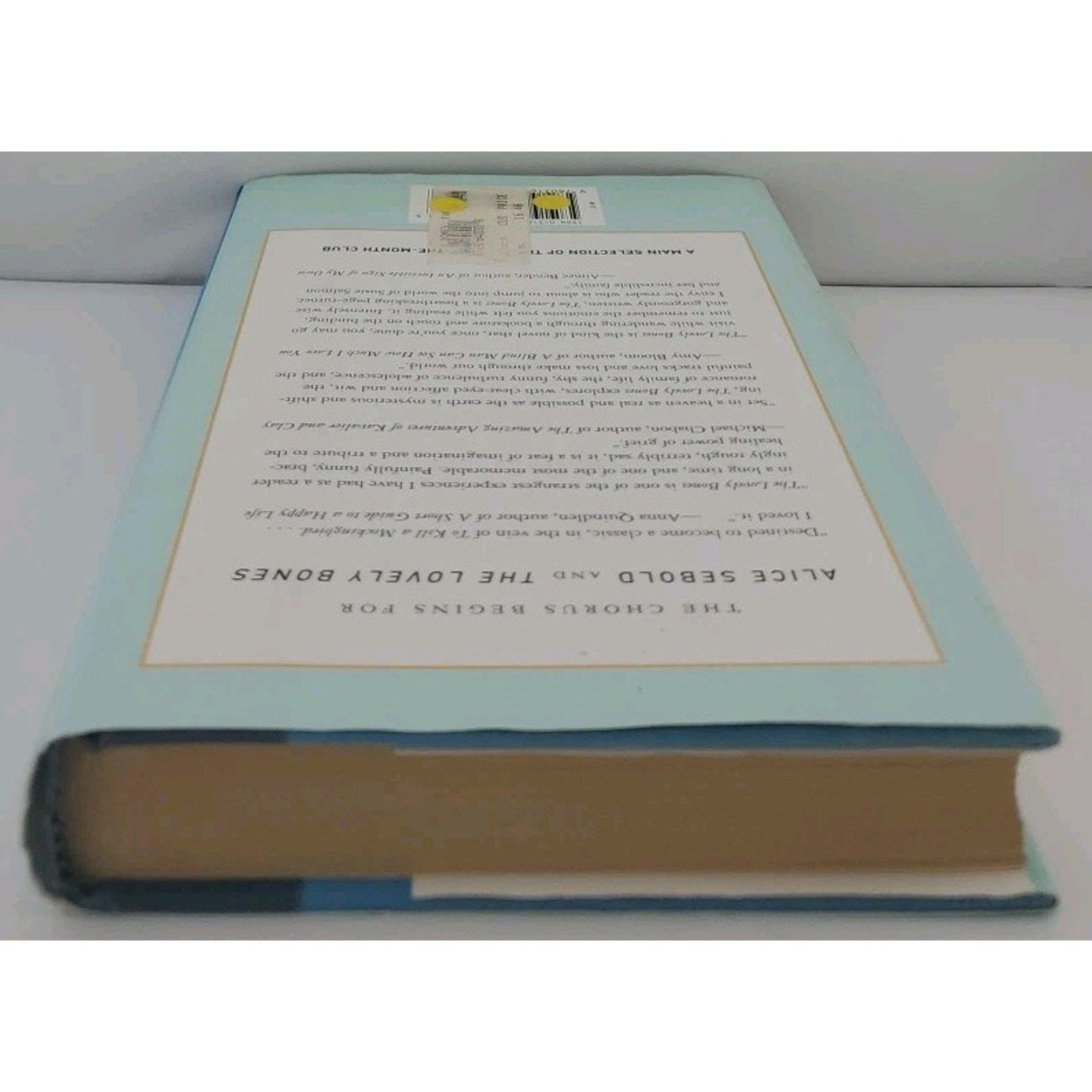 Lovely Bones by Alice Sebold (2002, Hardcover)