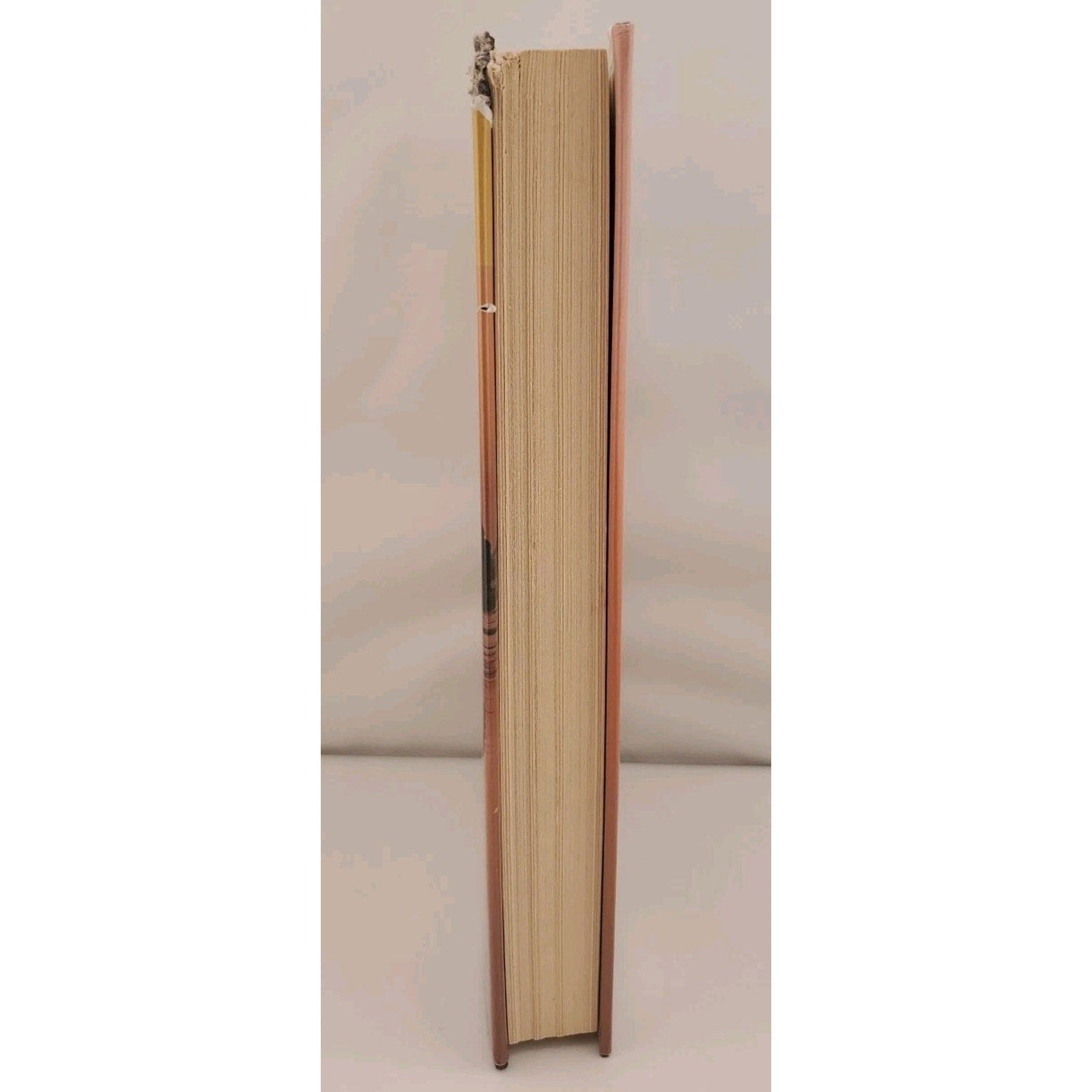 Safe Harbour by Danielle Steel (2003, Hardcover)