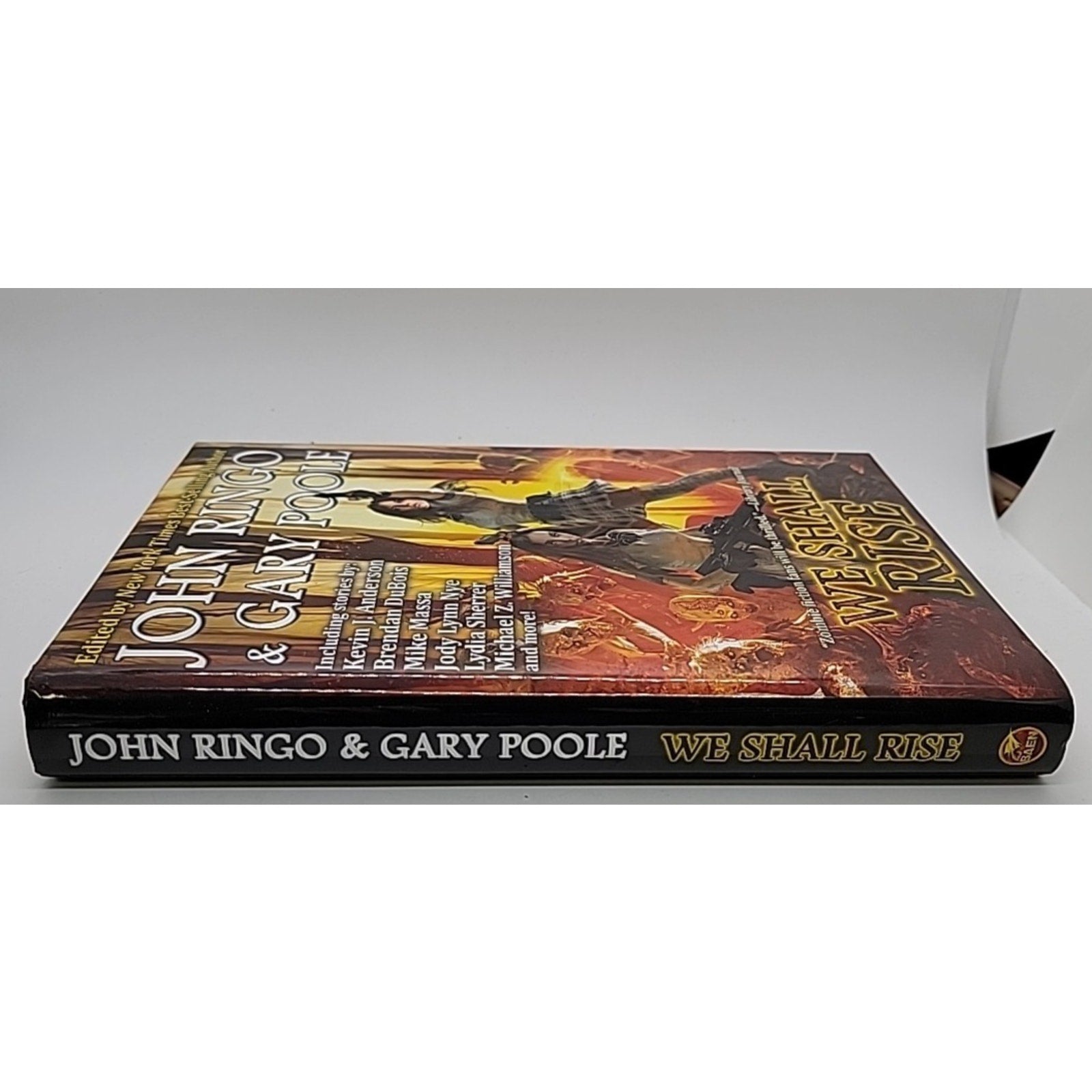 We Shall Rise by Gary Poole (2021, Hardcover)