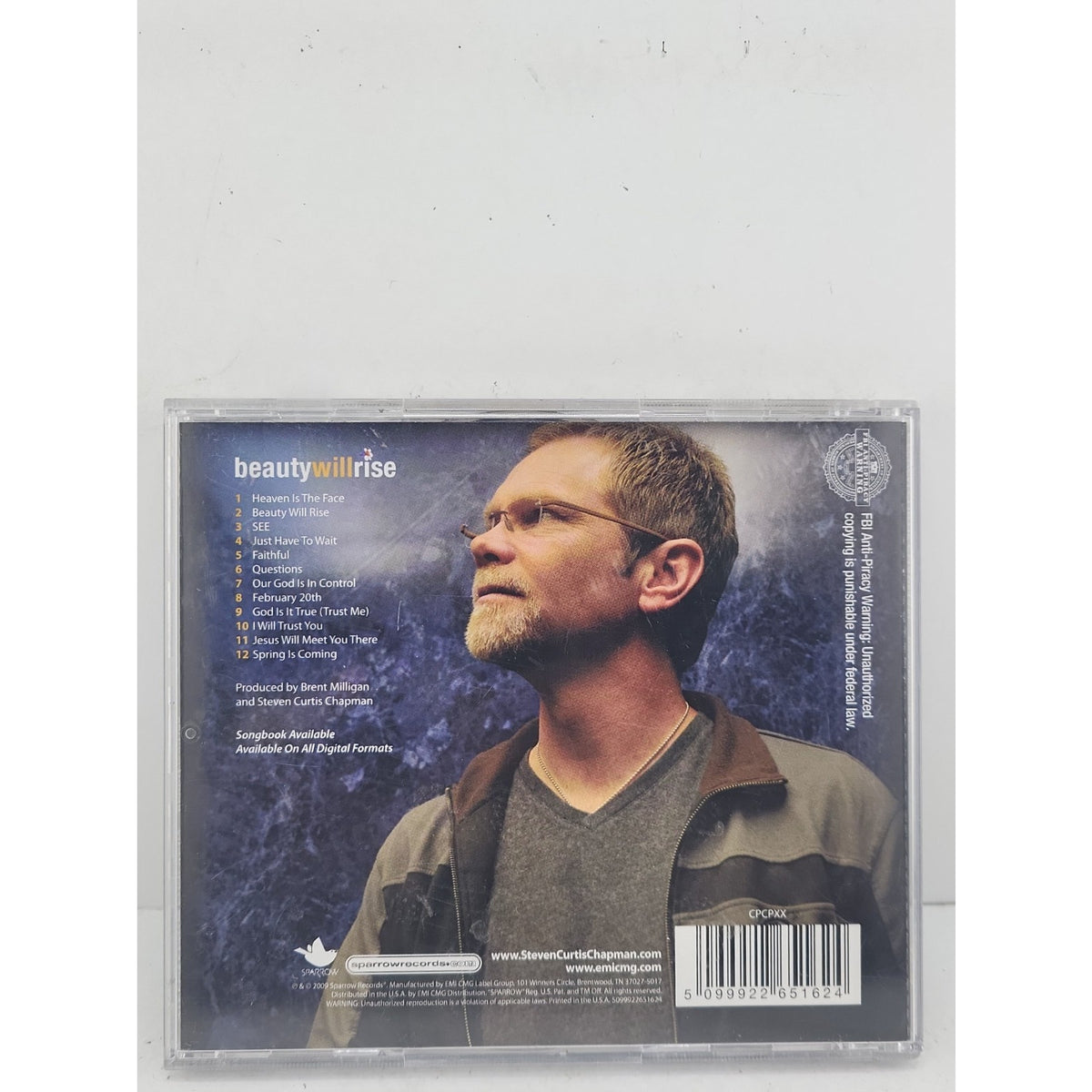 Beauty Will Rise by Steven Curtis Chapman (CD, 2009)