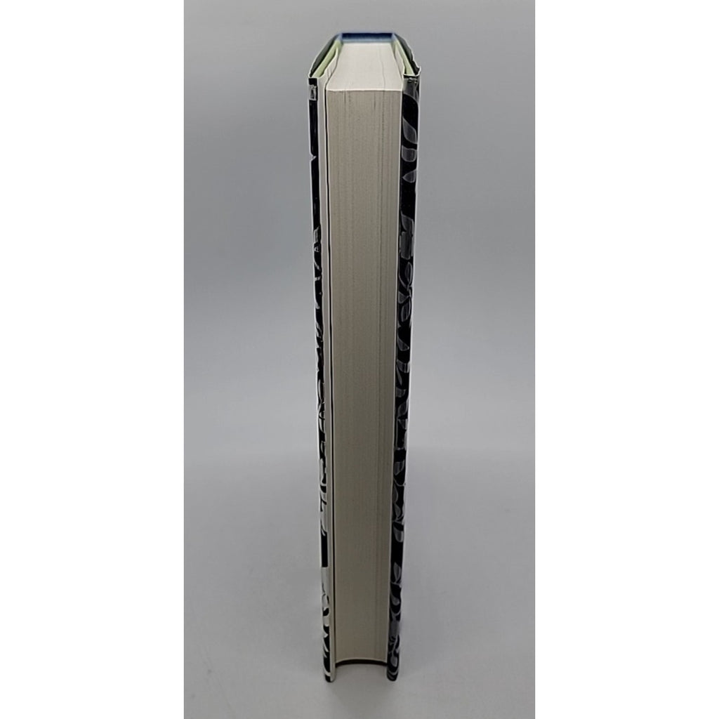 Come Rain or Come Shine by Jan Karon (2015, Hardcover)