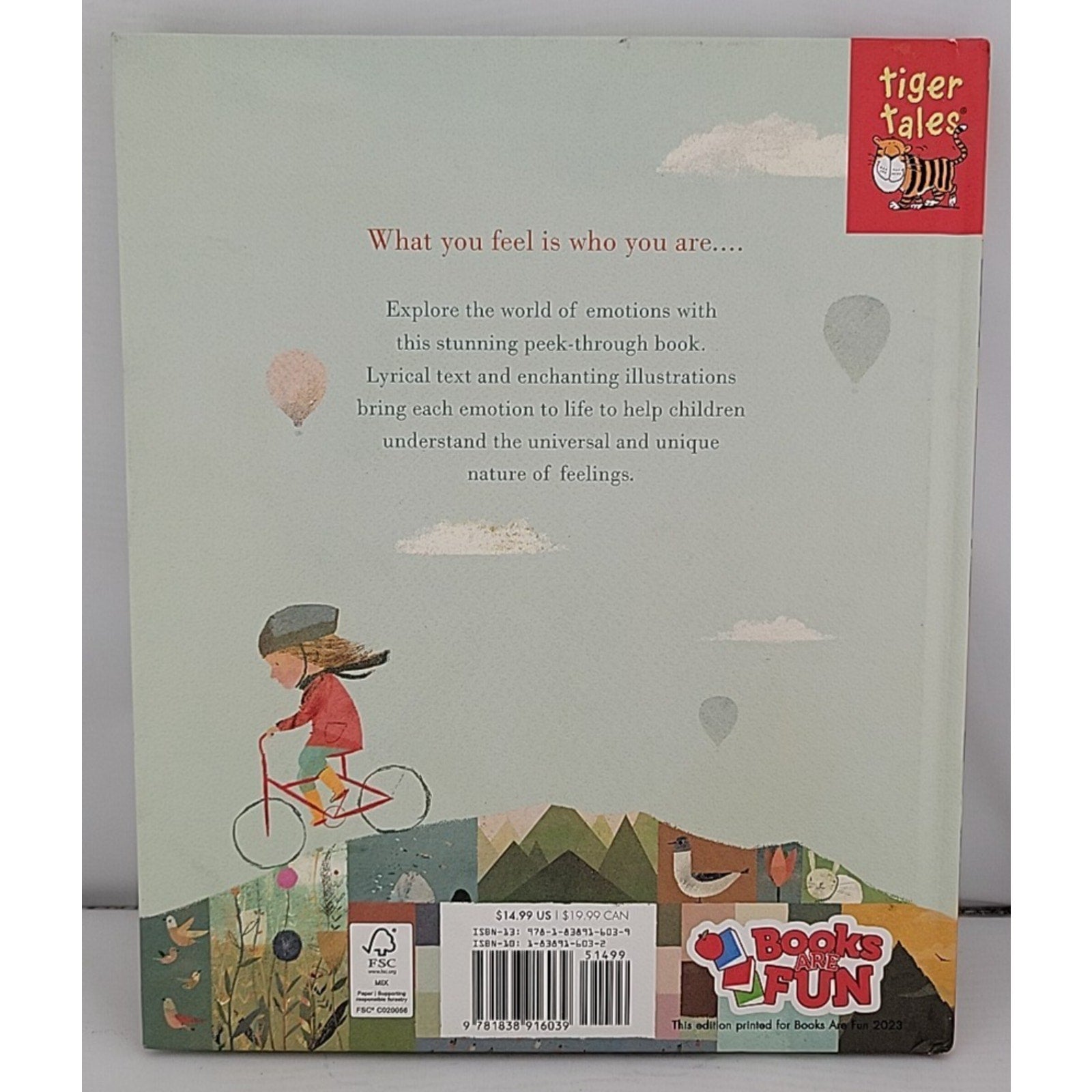 Feelings by Libby Walden (2018, Hardcover)