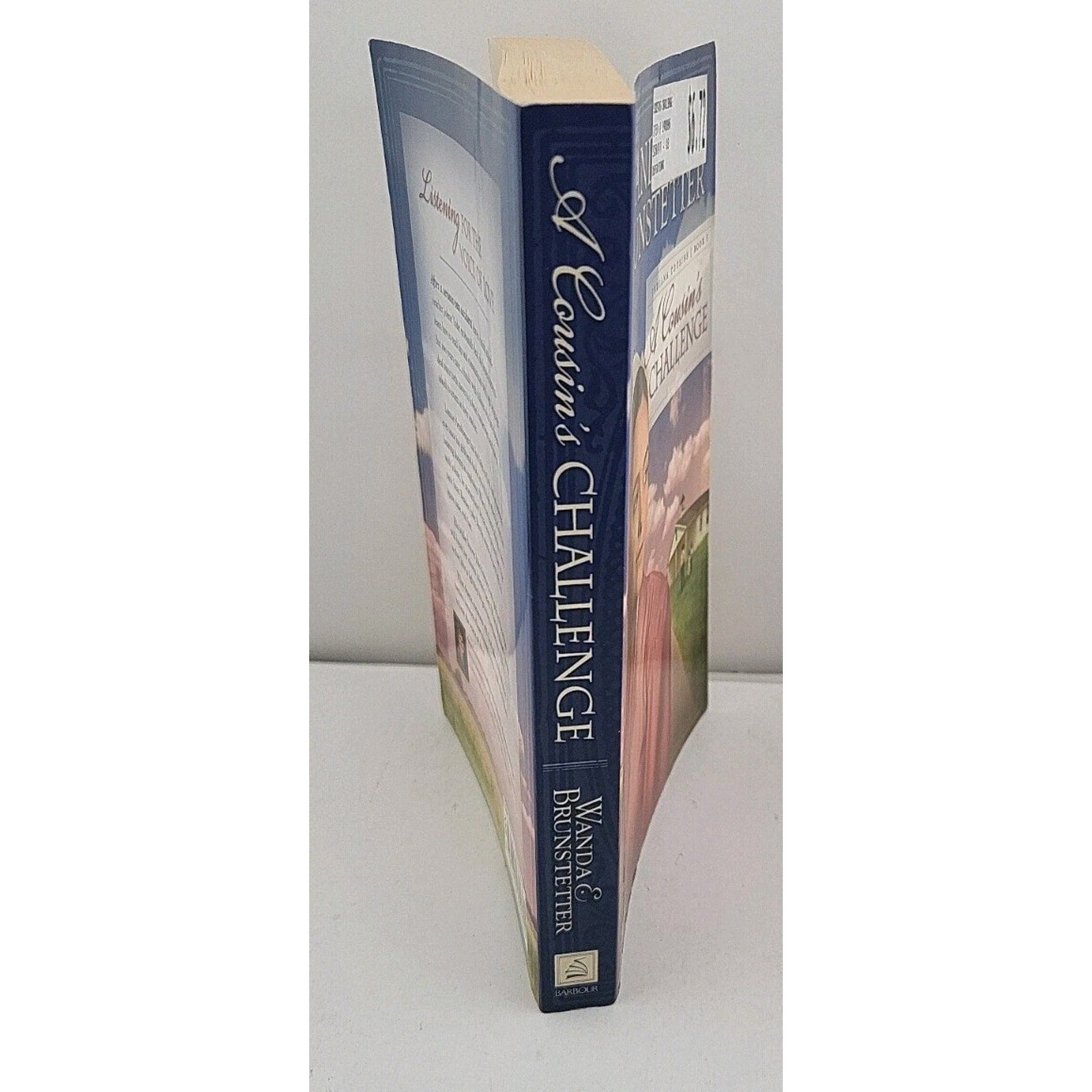 Cousin's Challenge by Wanda E. Brunstetter (2010, Trade Paperback)