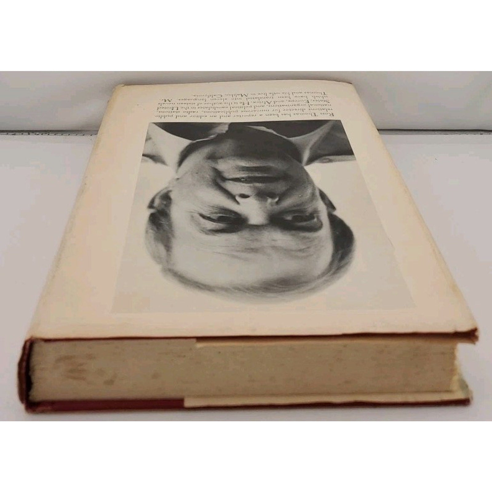 Chinaman's Chance by Ross Thomas (Hardcover)