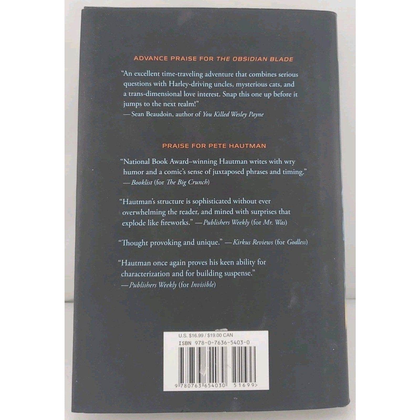 Obsidian Blade by Pete Hautman (2012, Hardcover)