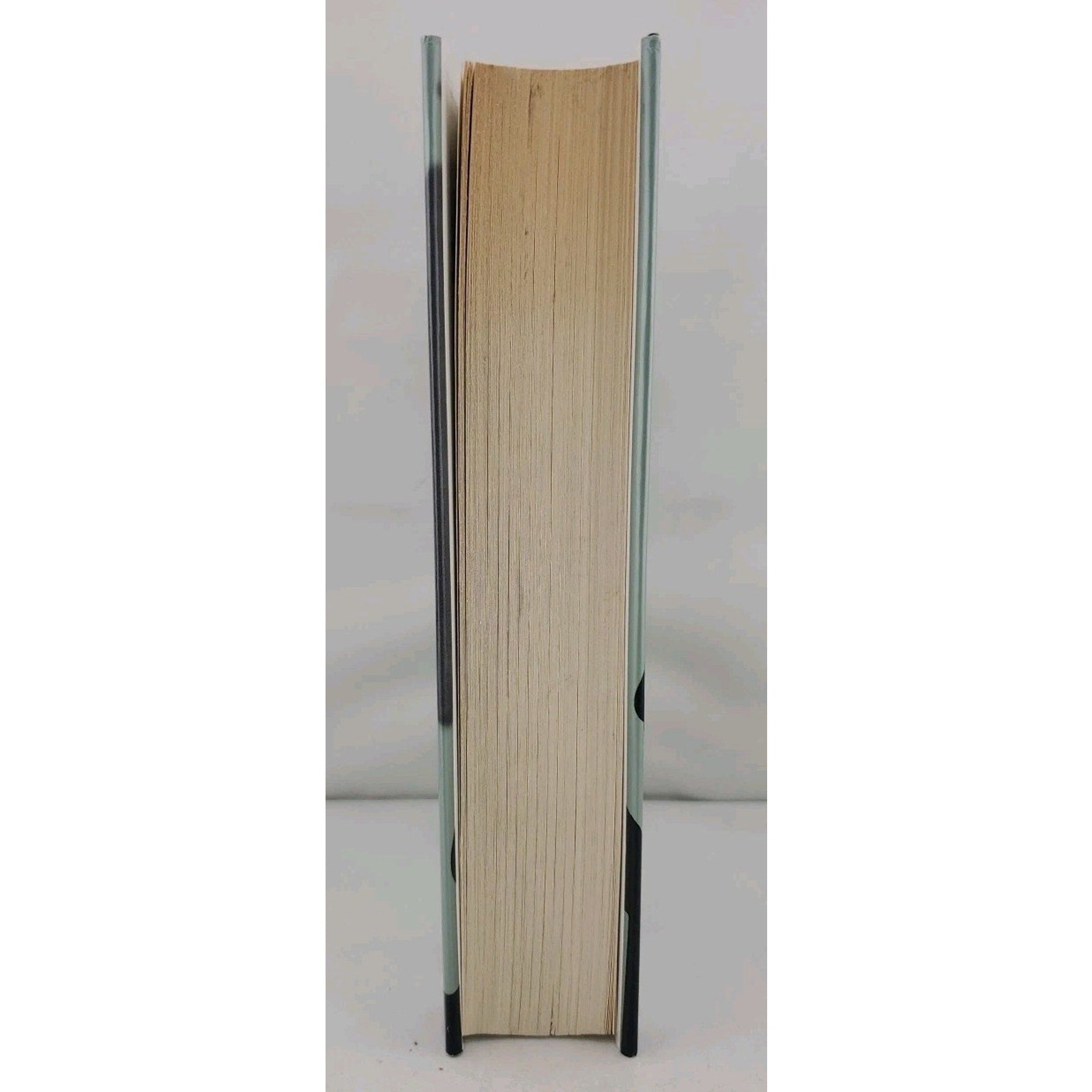 Prisoner of Birth by Jeffrey Archer (2008, Hardcover)