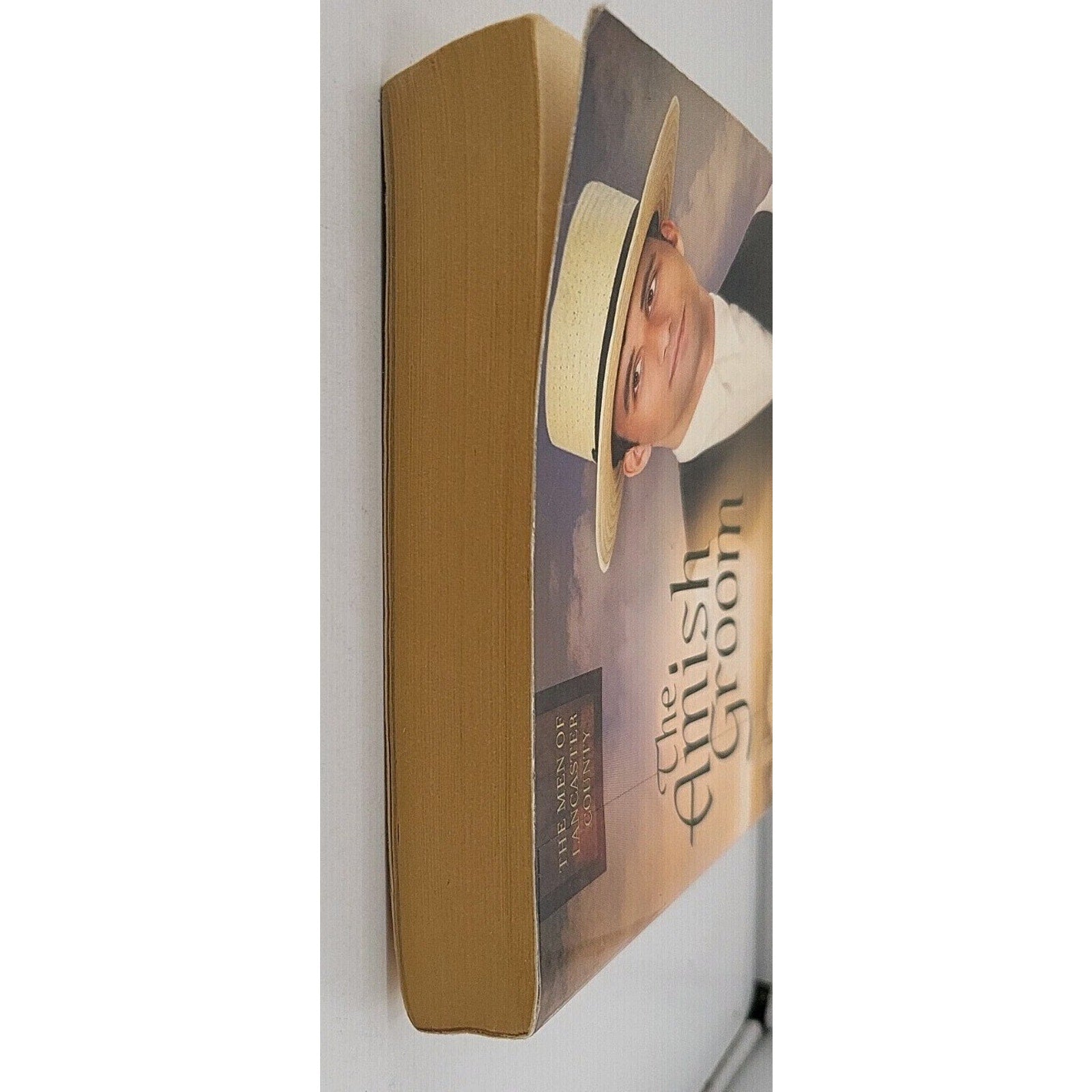 Amish Groom by Mindy Starns Clark and Susan Meissner (2014, Trade Paperback)