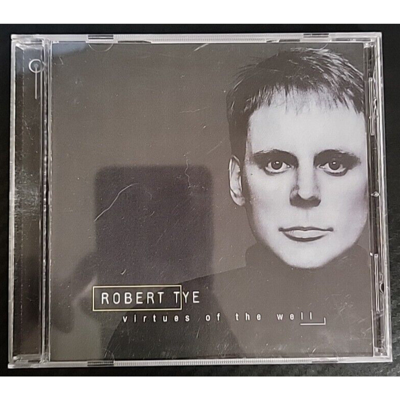 Virtues Of The Well by Robert Tye (CD, 1999, Corridor Records)