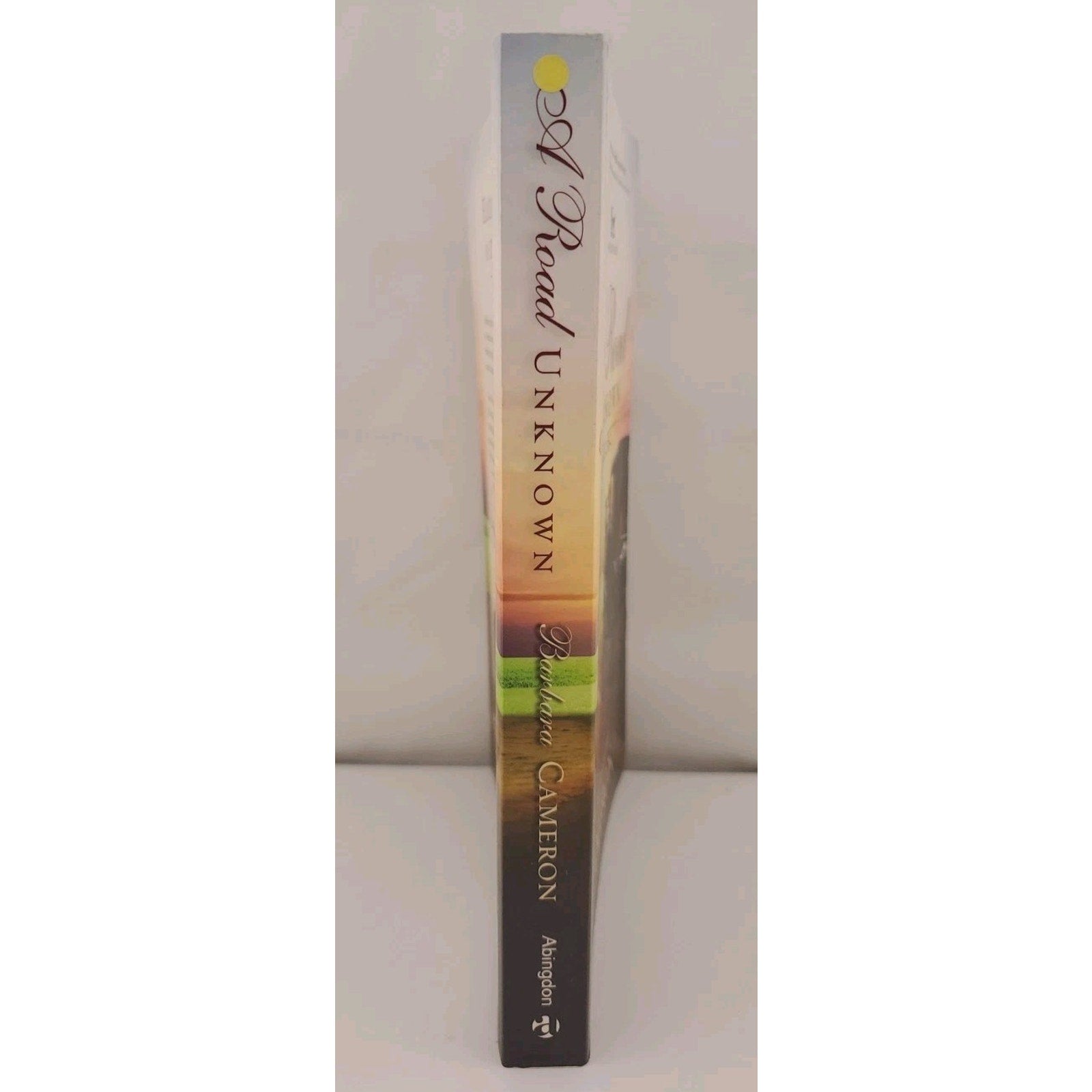 Road Unknown : Amish Roads Series - Book 1 by Barbara Cameron (2014, Paperback)