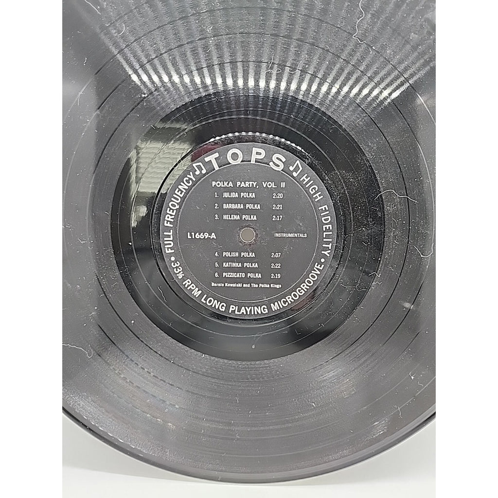 Polka Party Vol Ii (Record)