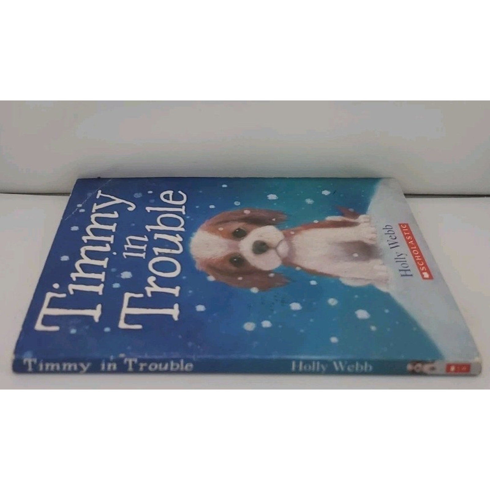 Timmy in Trouble by Webb, Holly (Paperback)