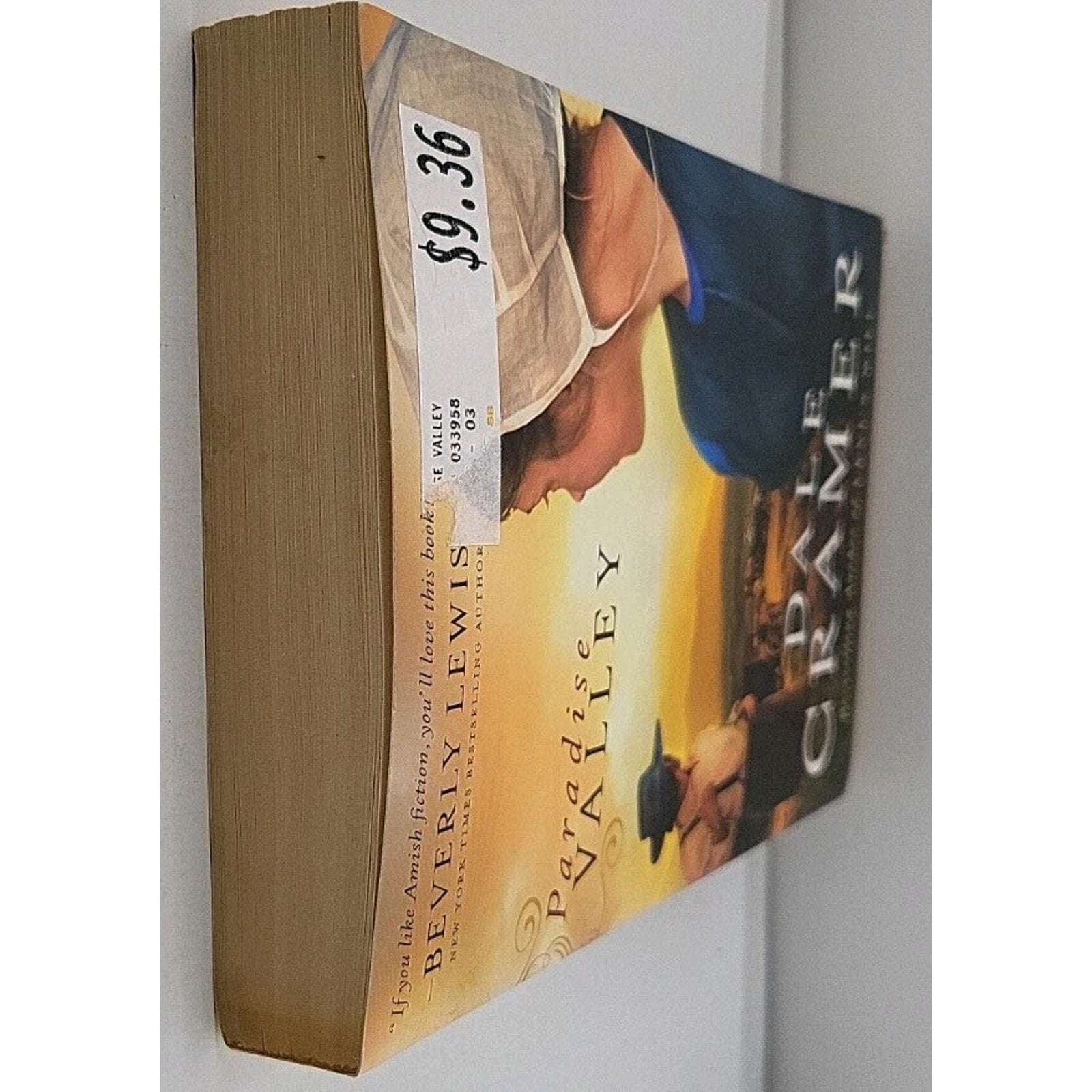 Paradise Valley by Dale Cramer (2011, Trade Paperback)