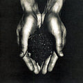 Between Earth & Sky * by The Colour (CD, Feb-2007, Re:Think) *Brand New*