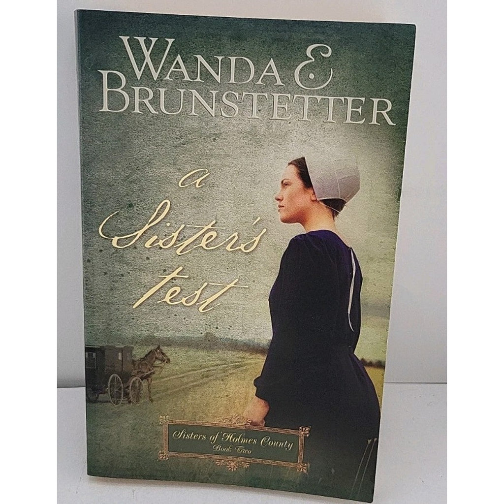 Sister's Test by Wanda E. Brunstetter (2008, Trade Paperback)