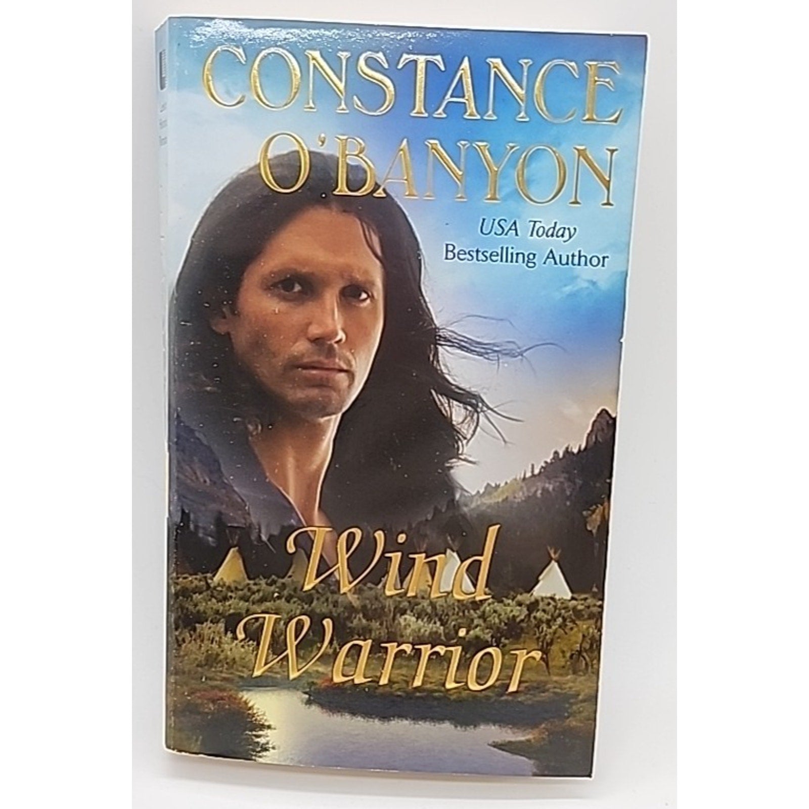 Wind Warrior by Constance O'Banyon (2010, Trade Paperback)