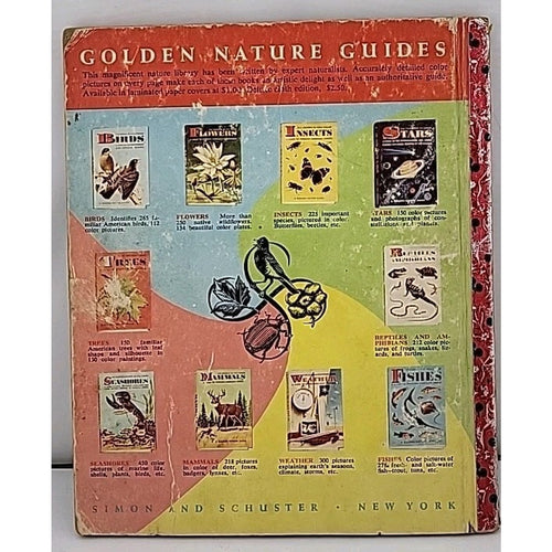 1956 Walt Disney's Mickey Mouse Club Stamp Book