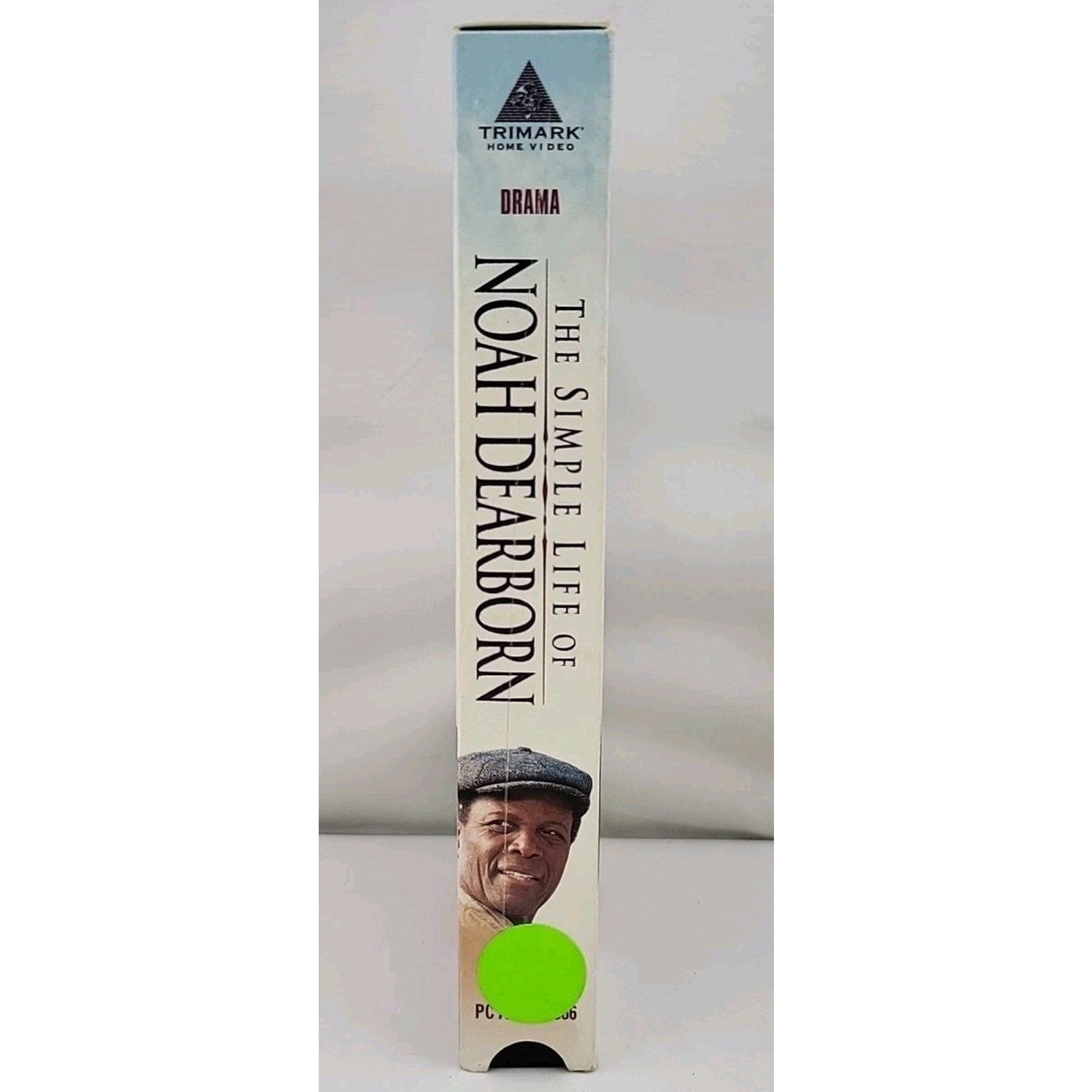 Simple Life of Noah Dearborn (VHS, 1999)
