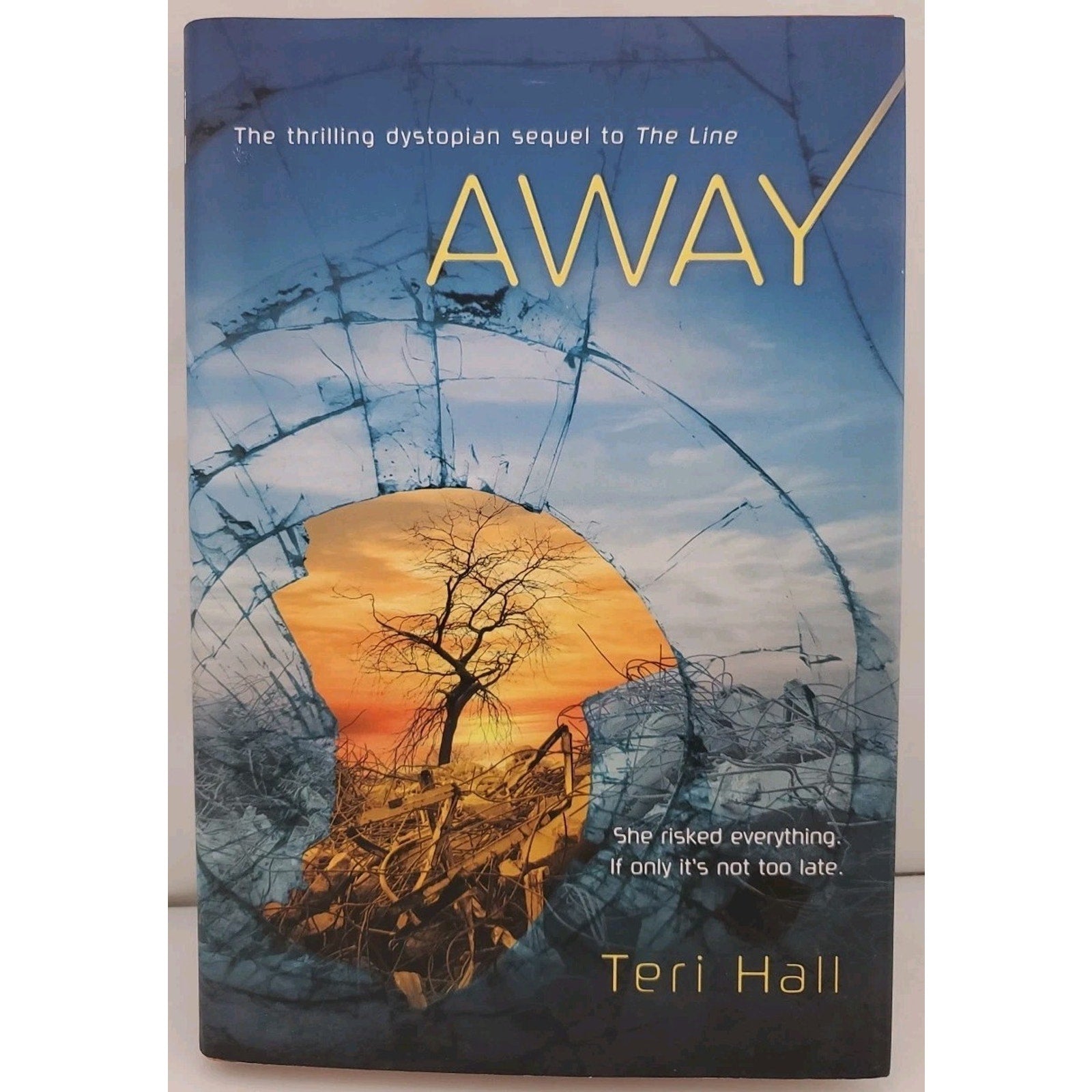 Away by Teri Hall (2011, Hardcover)