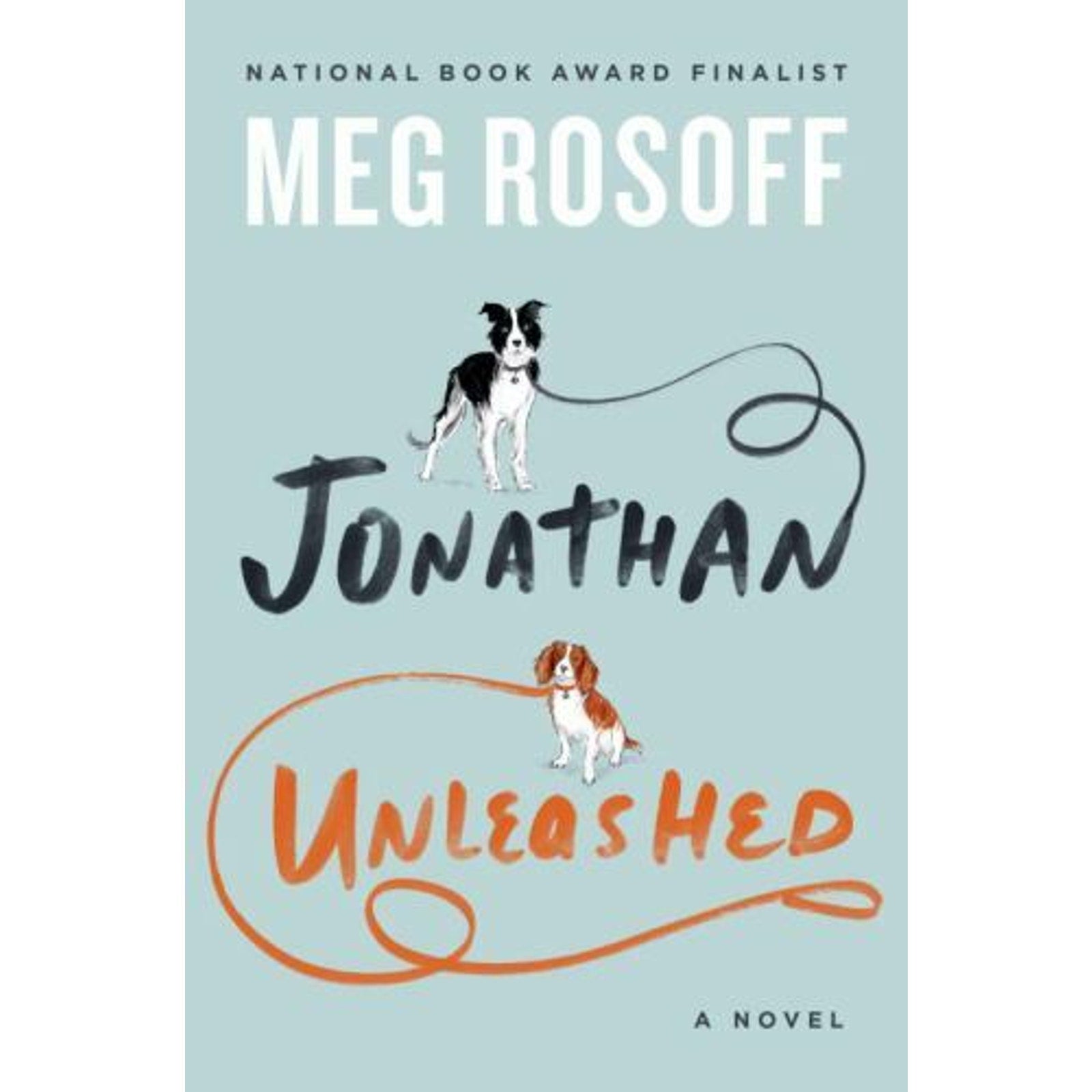 Jonathan Unleashed by Meg Rosoff (2016, Hardcover)