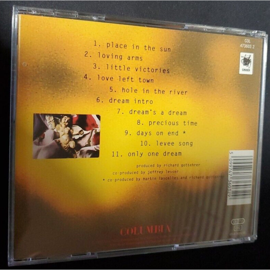 Little Victories by Darden Smith (CD, Import, 1993, Columbia)