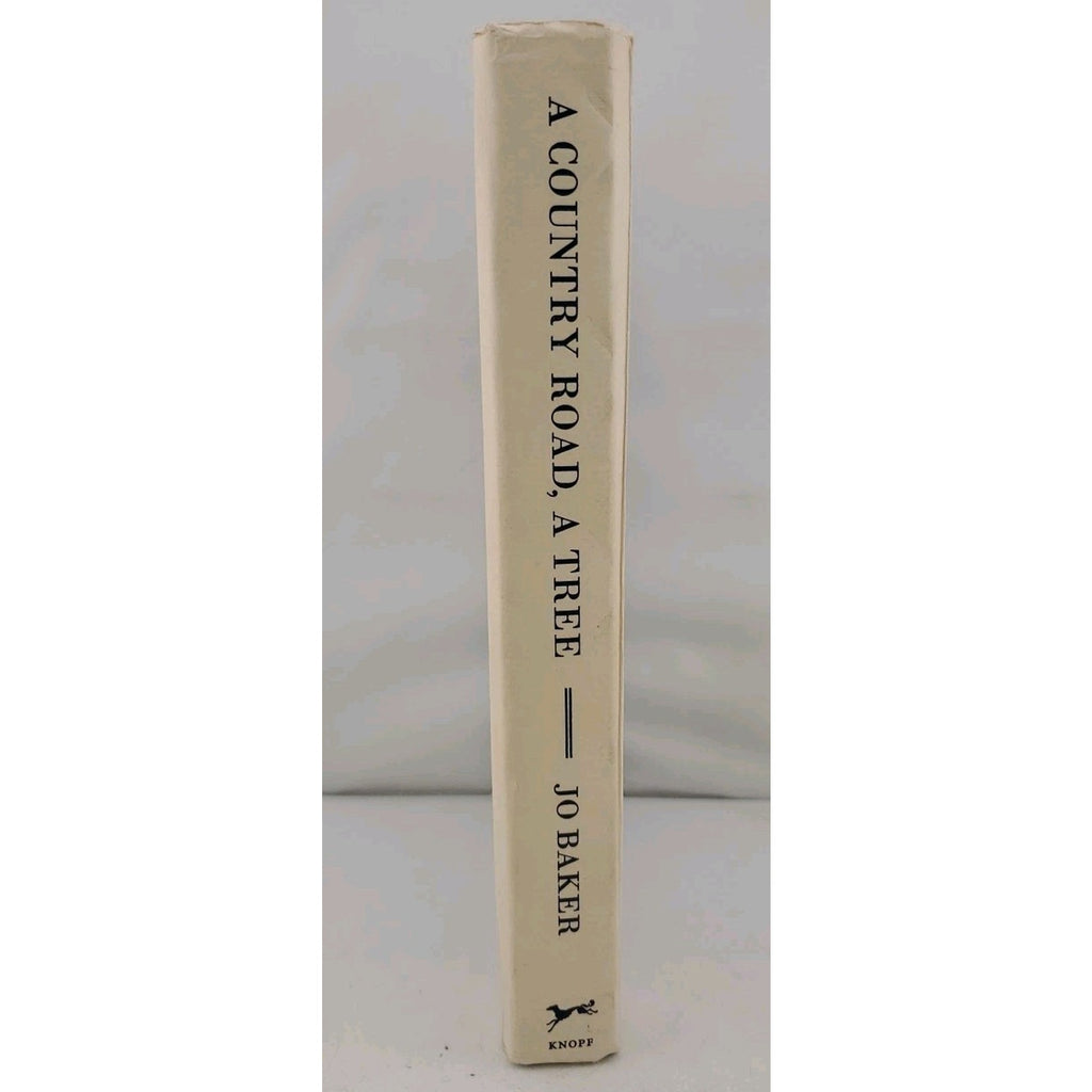 Country Road, a Tree by Jo Baker (2016, Hardcover)