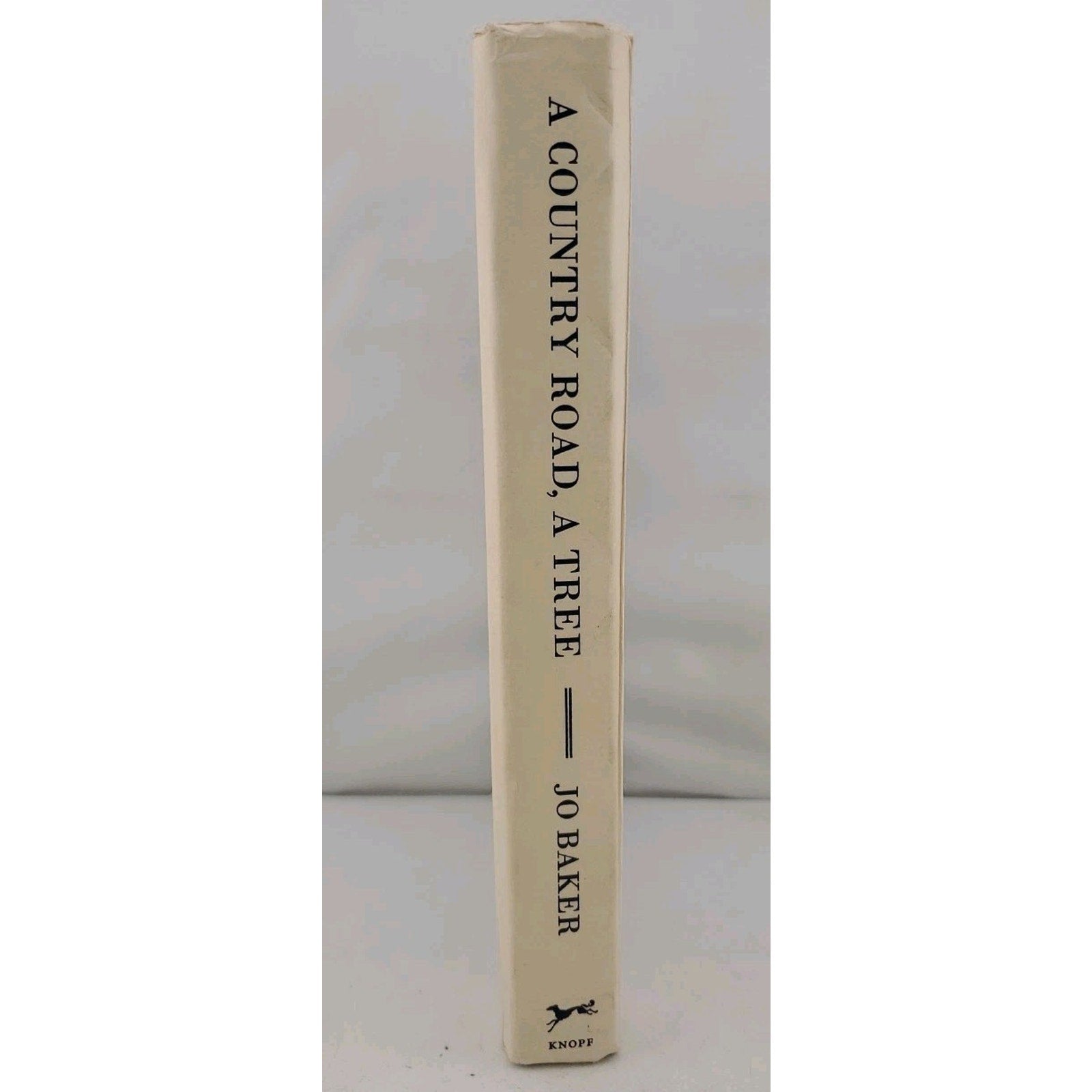Country Road, a Tree by Jo Baker (2016, Hardcover)