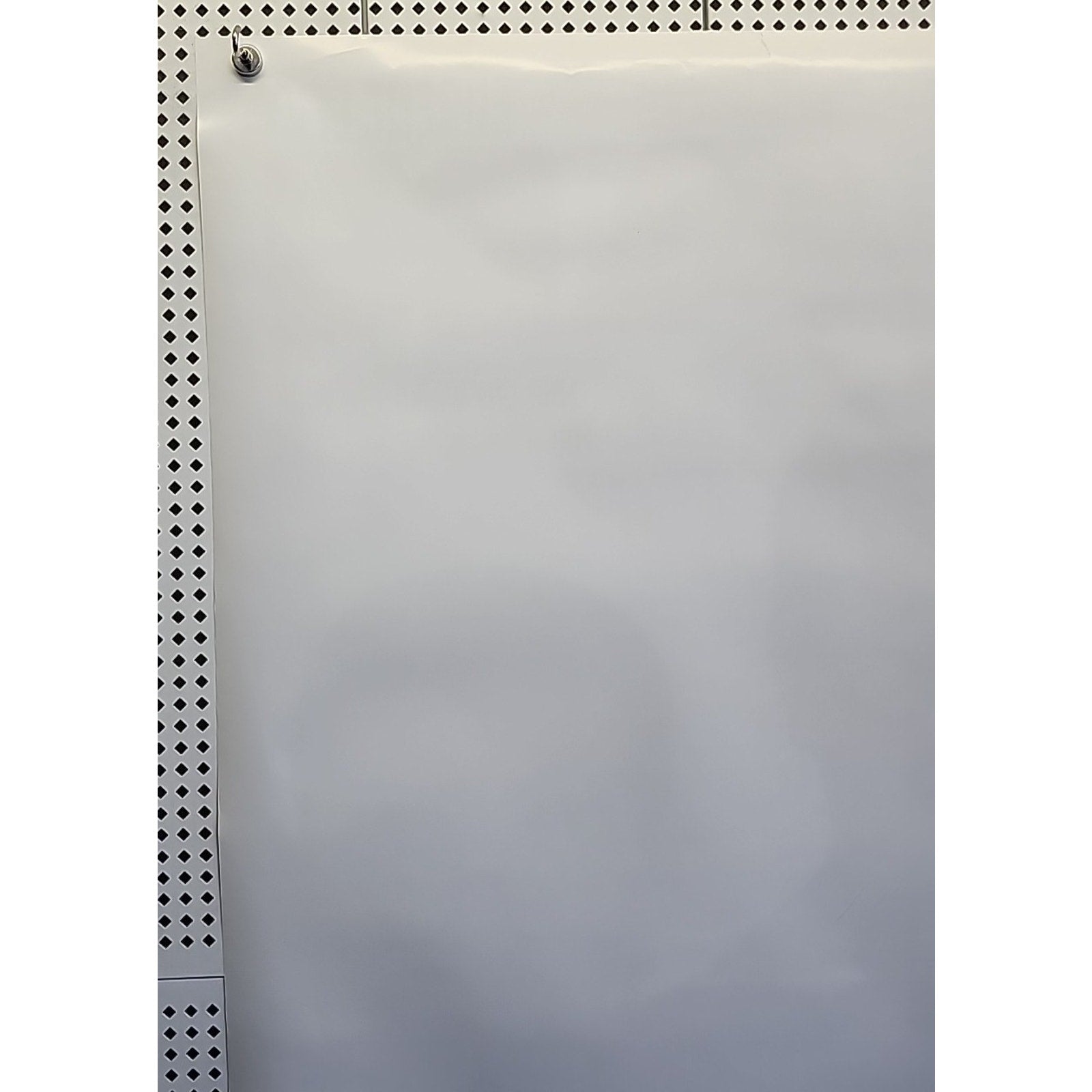 The Man Video Release Poster 27x40